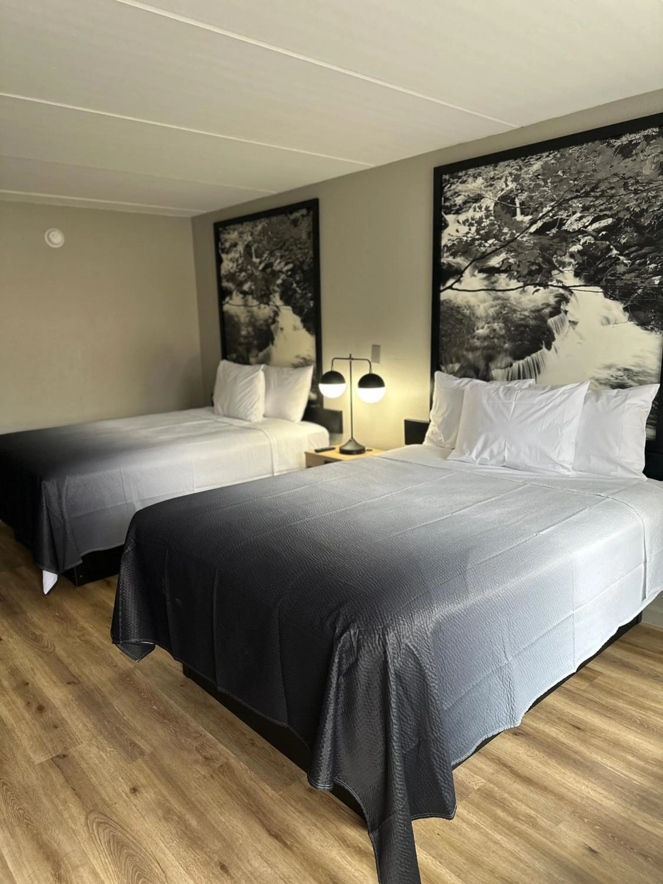 Bed in Super 8 by Wyndham Kingsport /I-81