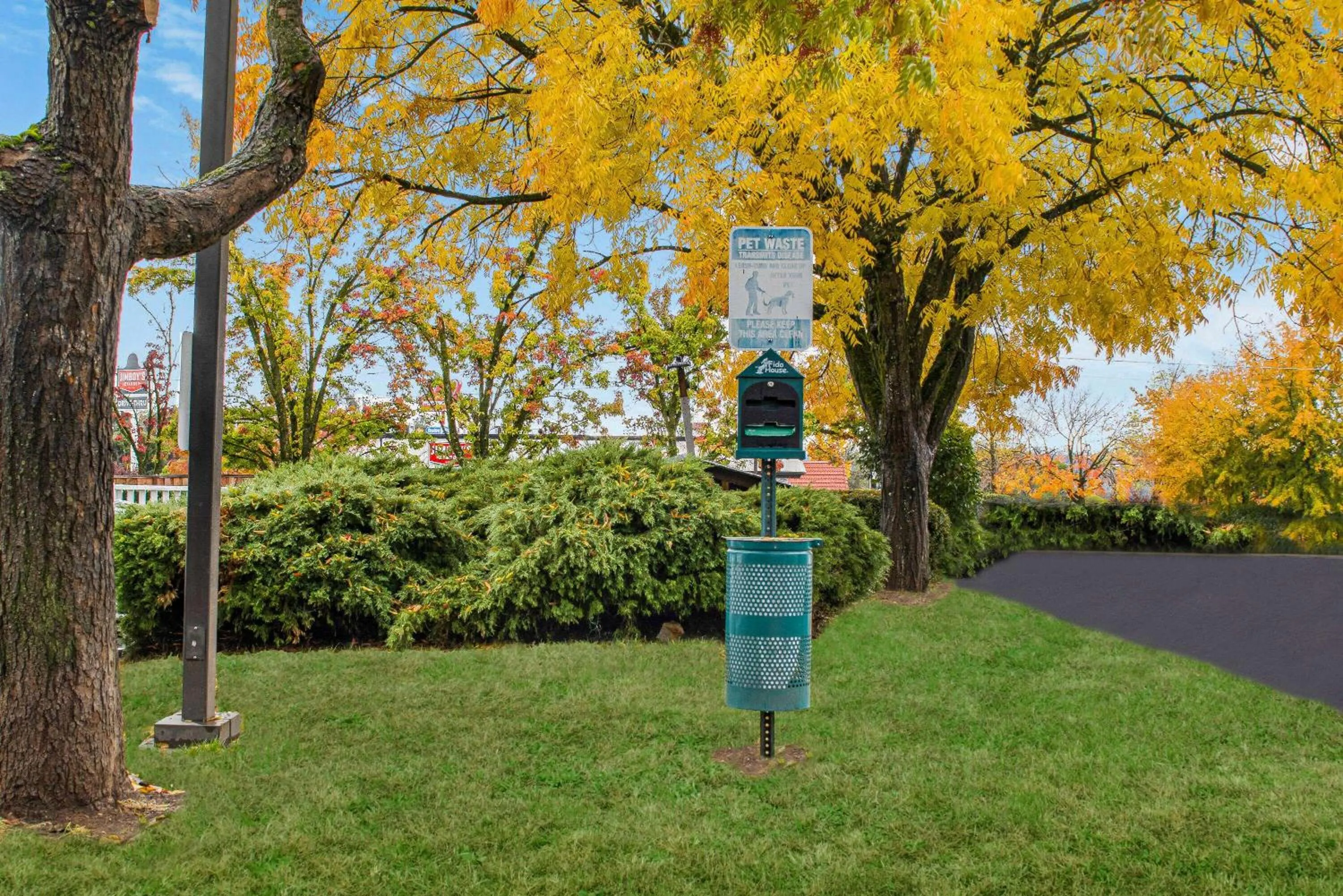 Other in Super 8 by Wyndham Auburn