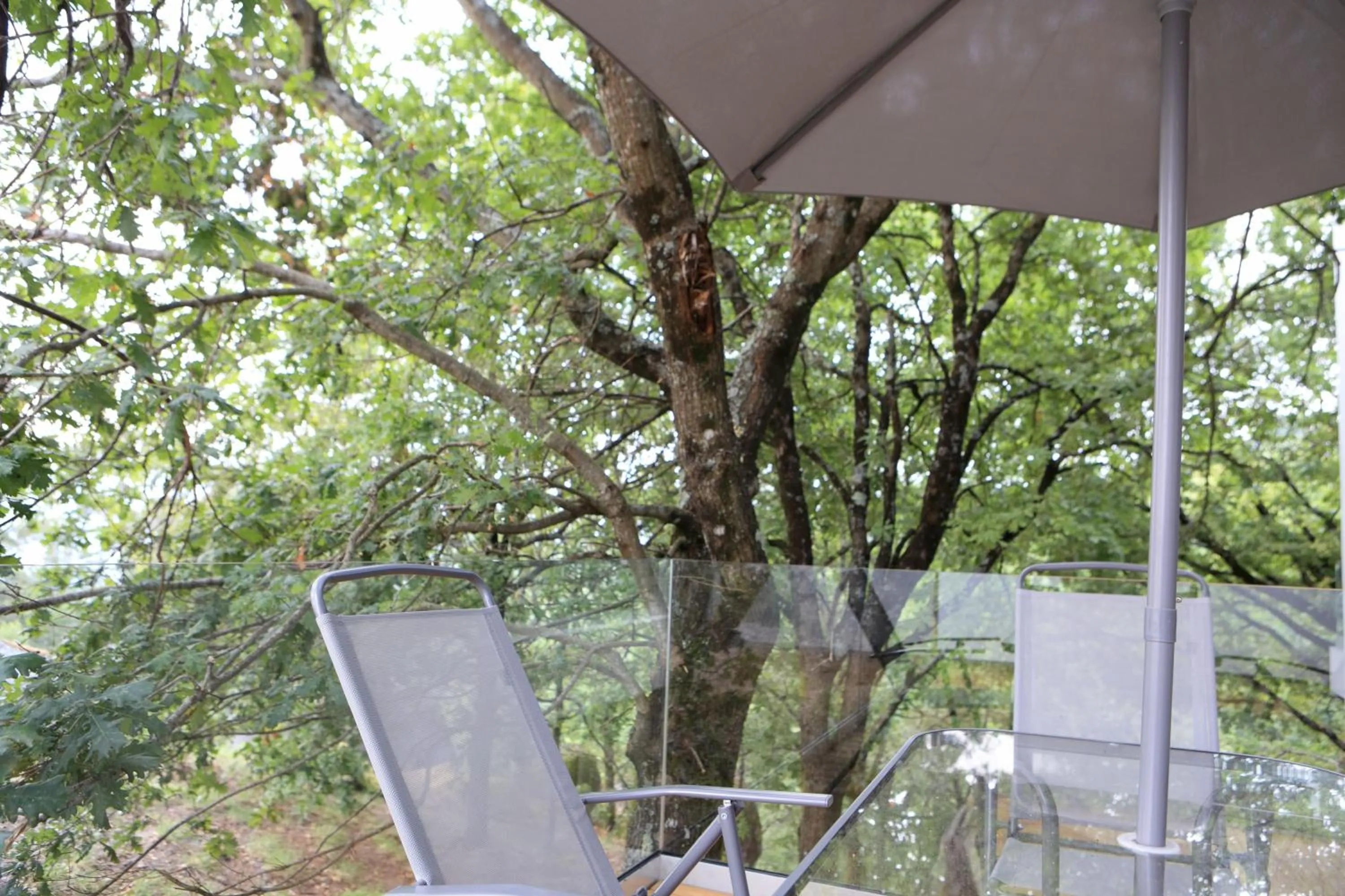 Balcony/Terrace in Oak Nature