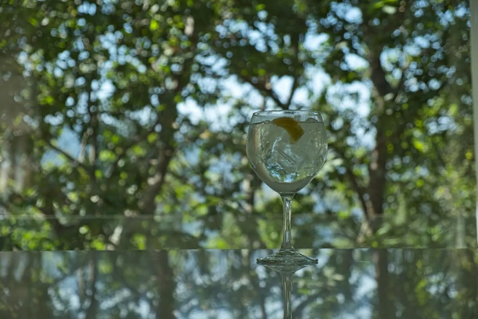 Drinks in Oak Nature