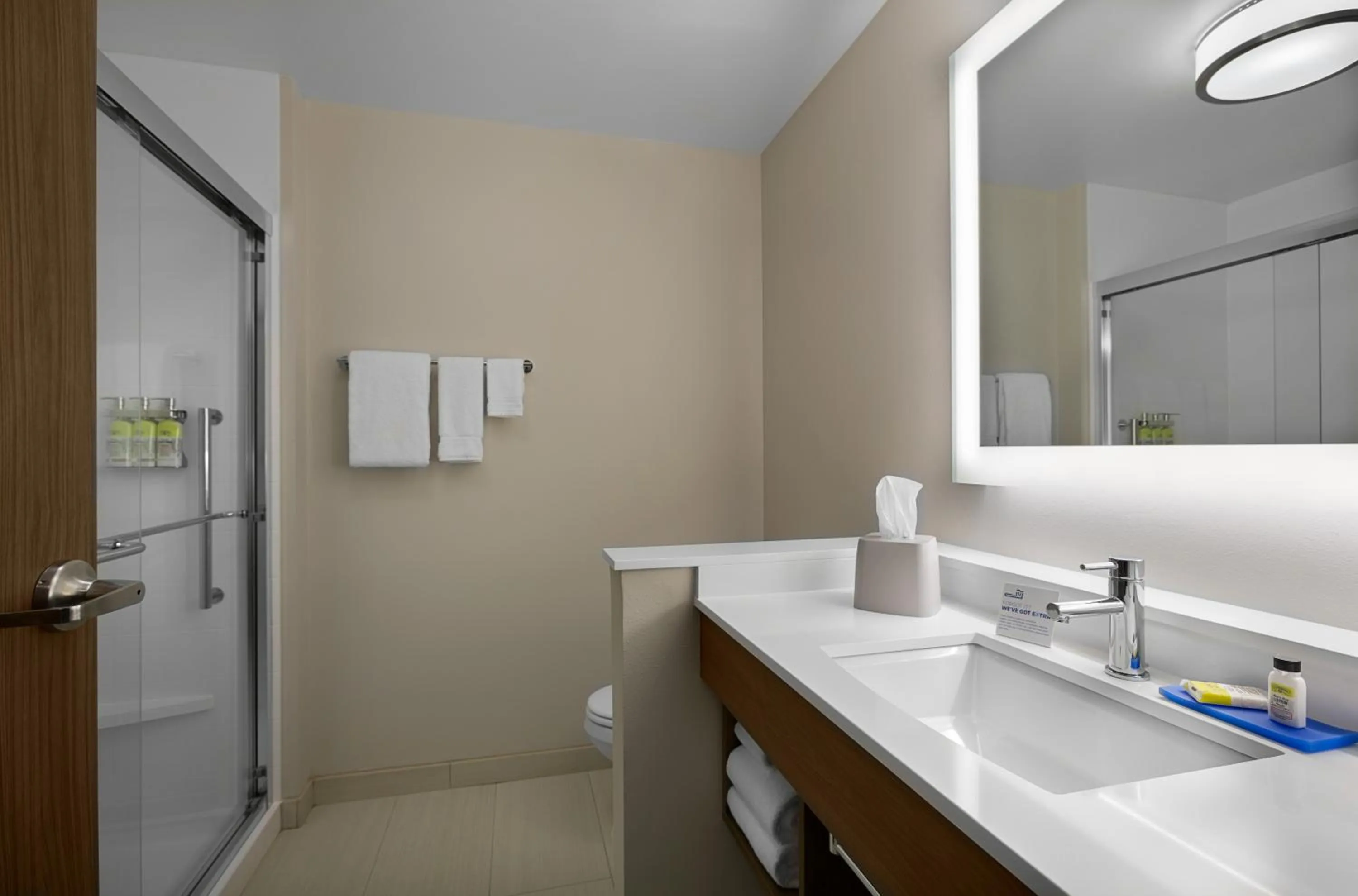 Bathroom in Holiday Inn Express & Suites - Fayetteville South by IHG