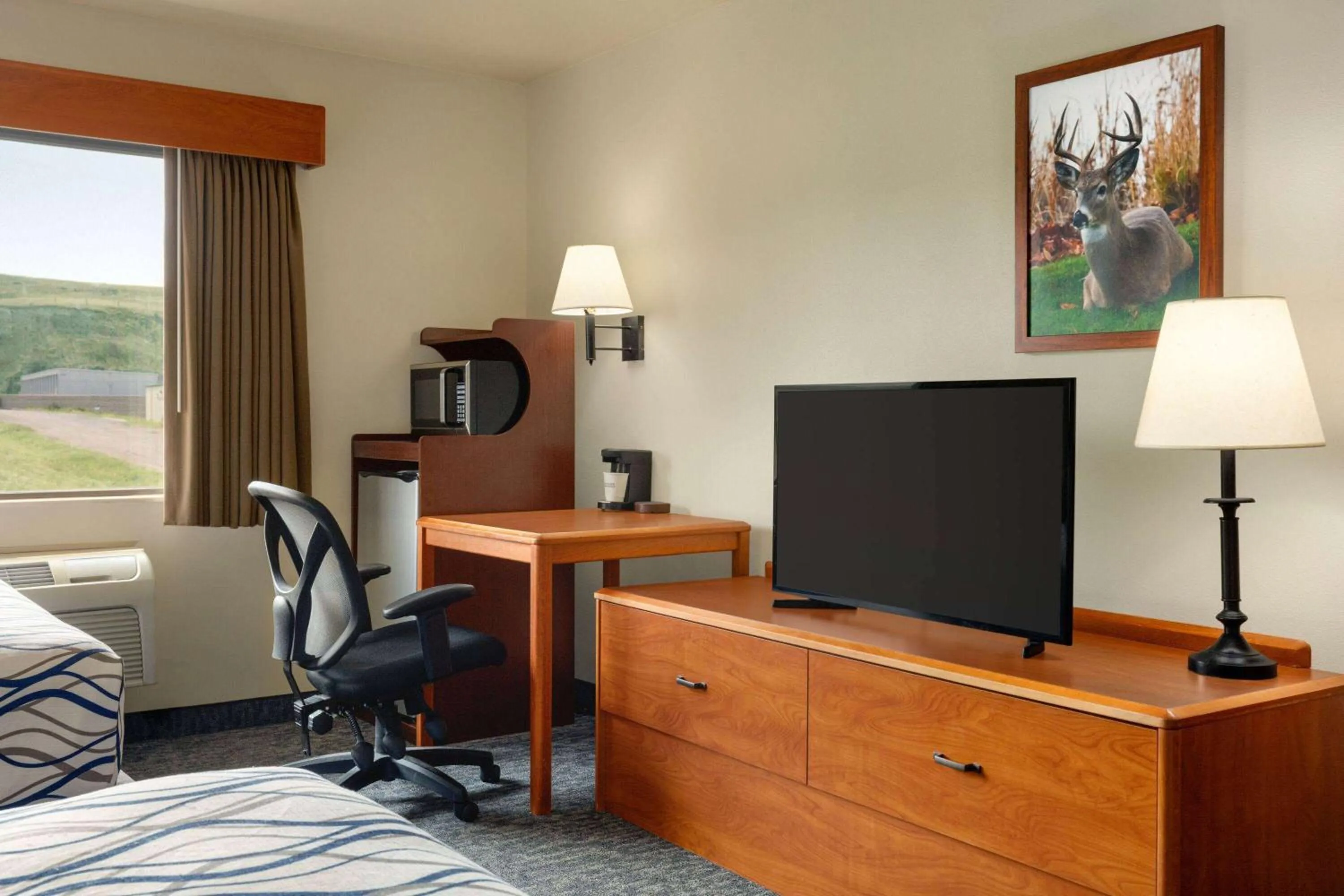 Photo of the whole room in AmericInn by Wyndham Havre