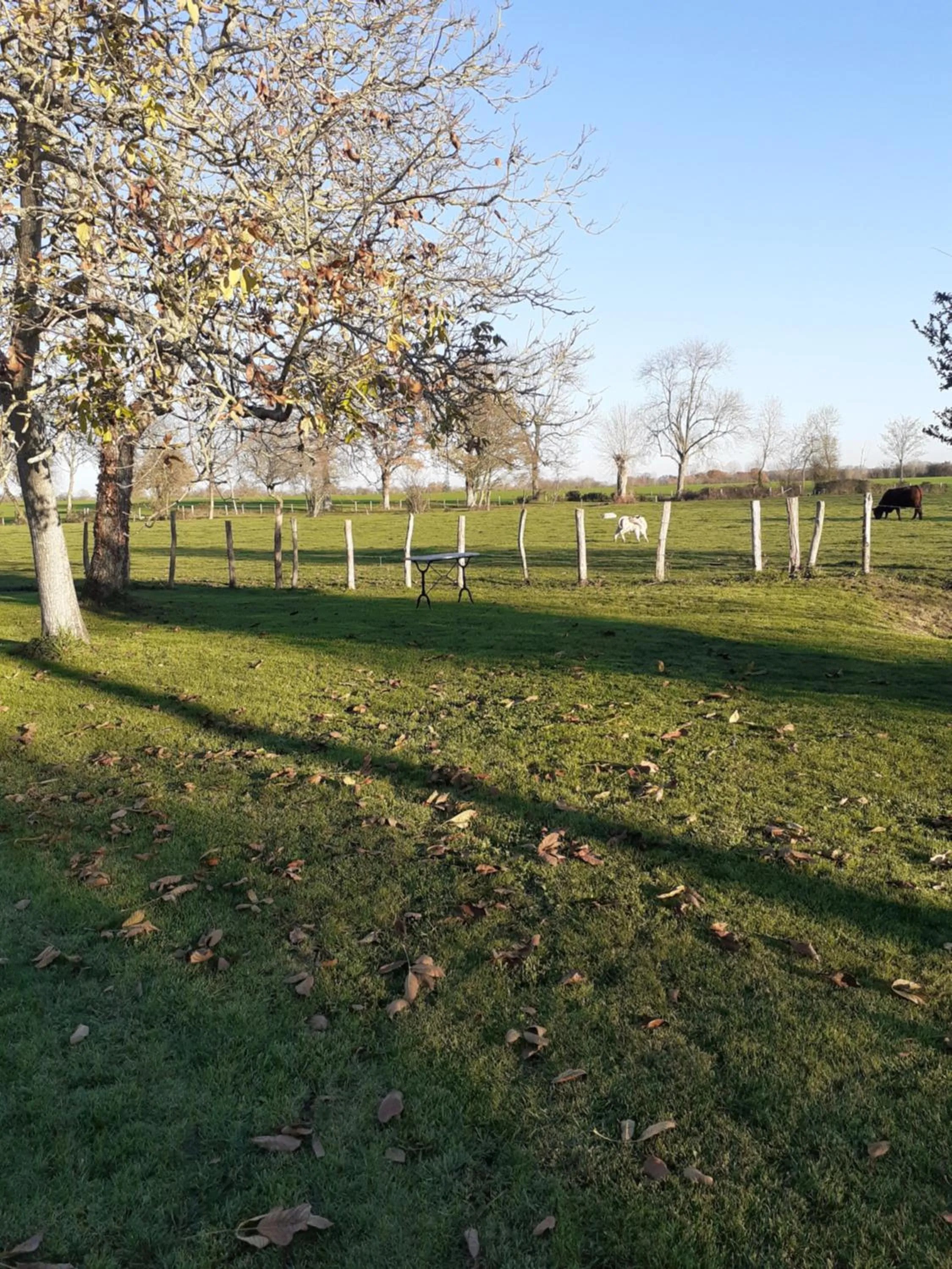 Garden in Le Verger (Le Plessis)