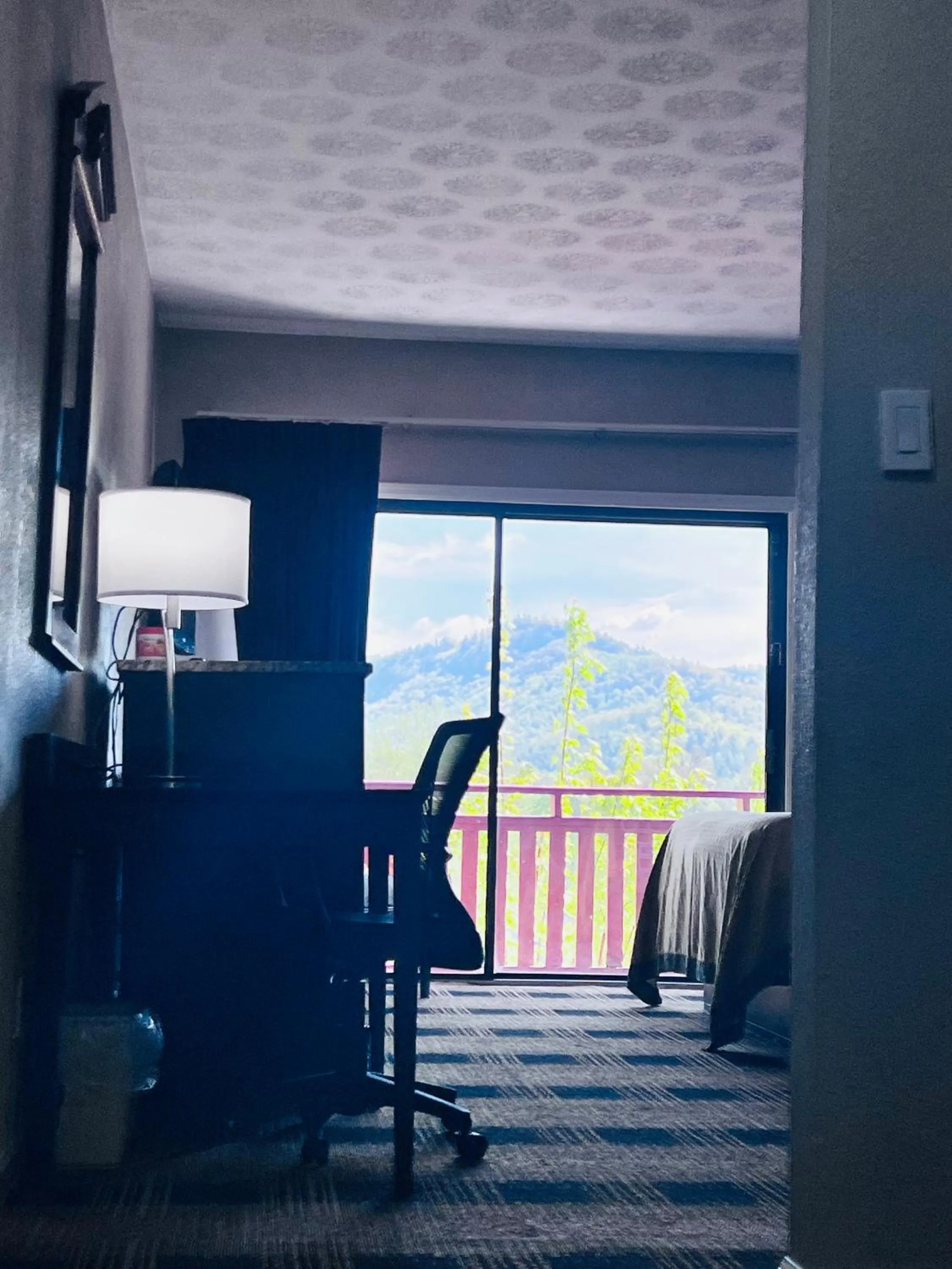 View (from property/room) in Knights Inn Dillard