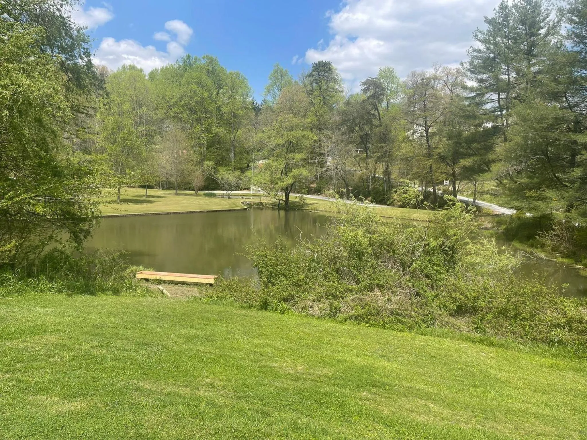 Garden in Knights Inn Dillard