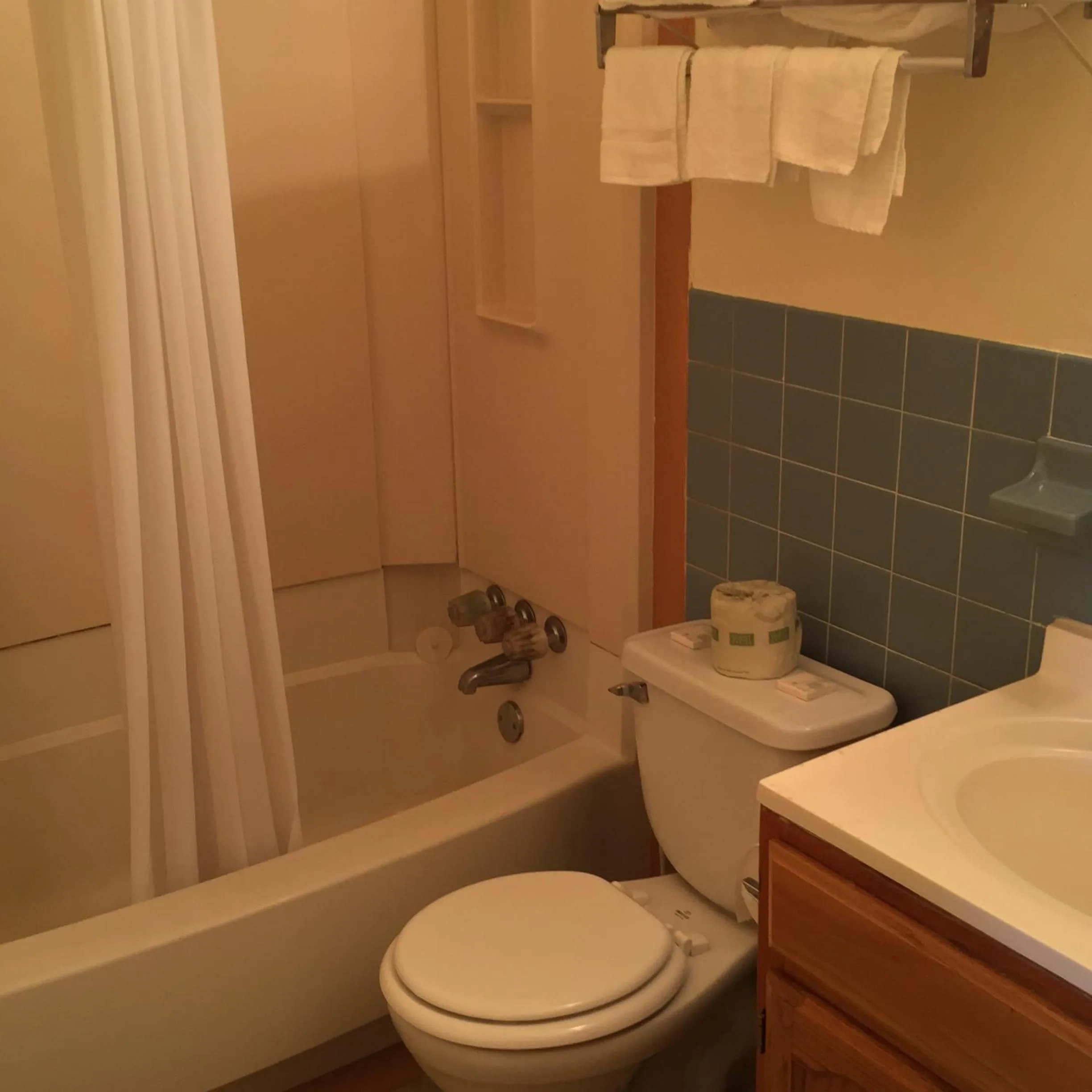 Bathroom in MacThrift Motor Inn