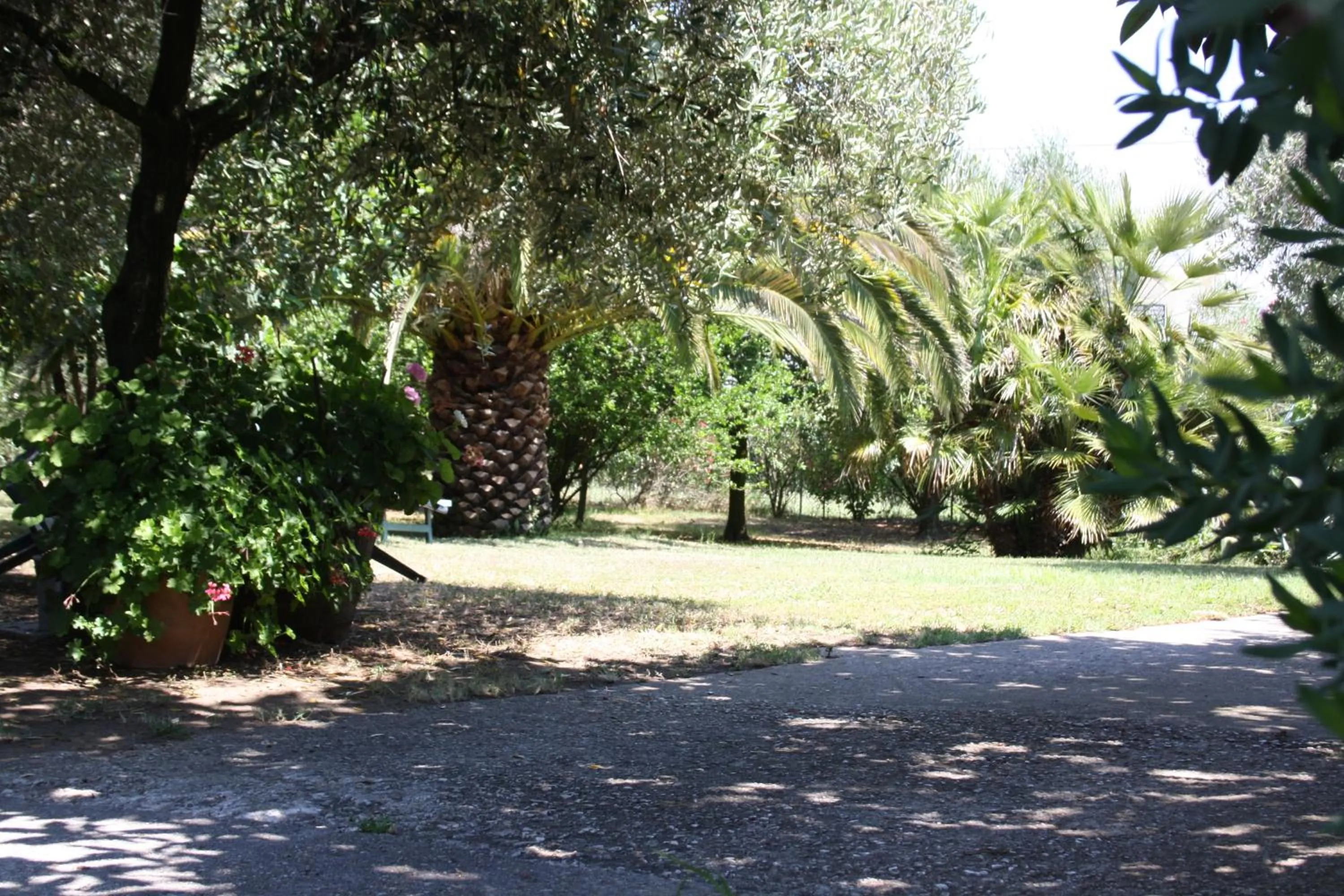 Garden in Il Boschetto