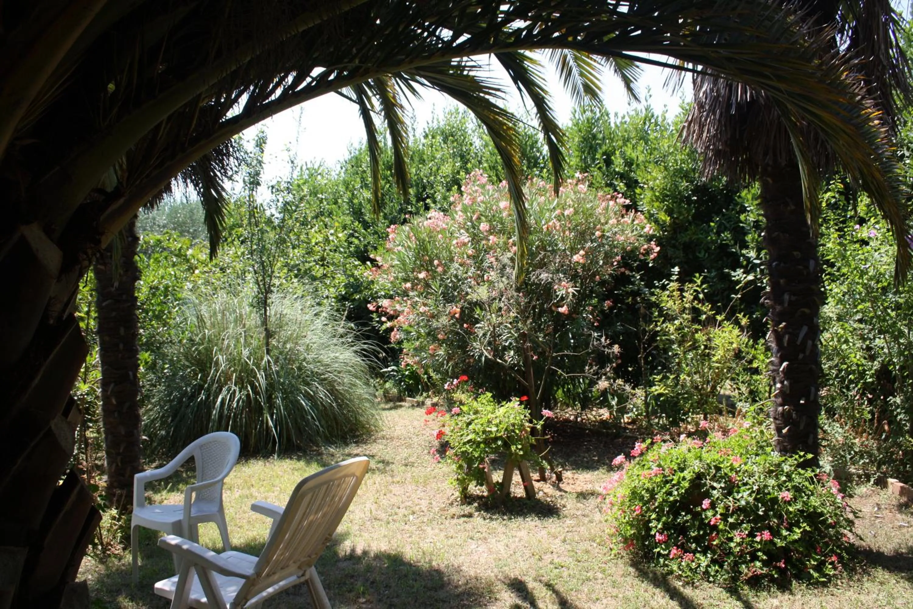 Garden in Il Boschetto