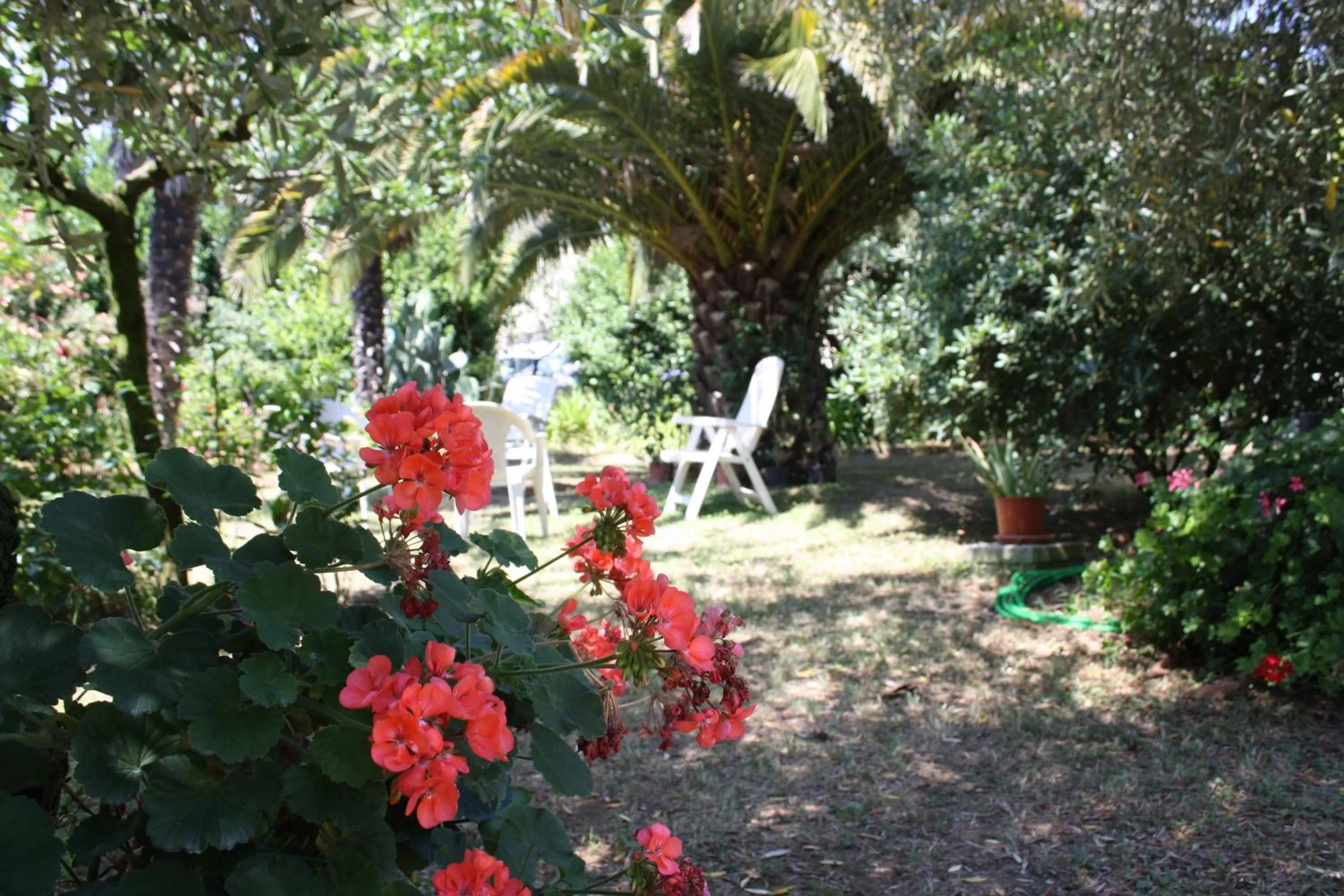 Garden in Il Boschetto