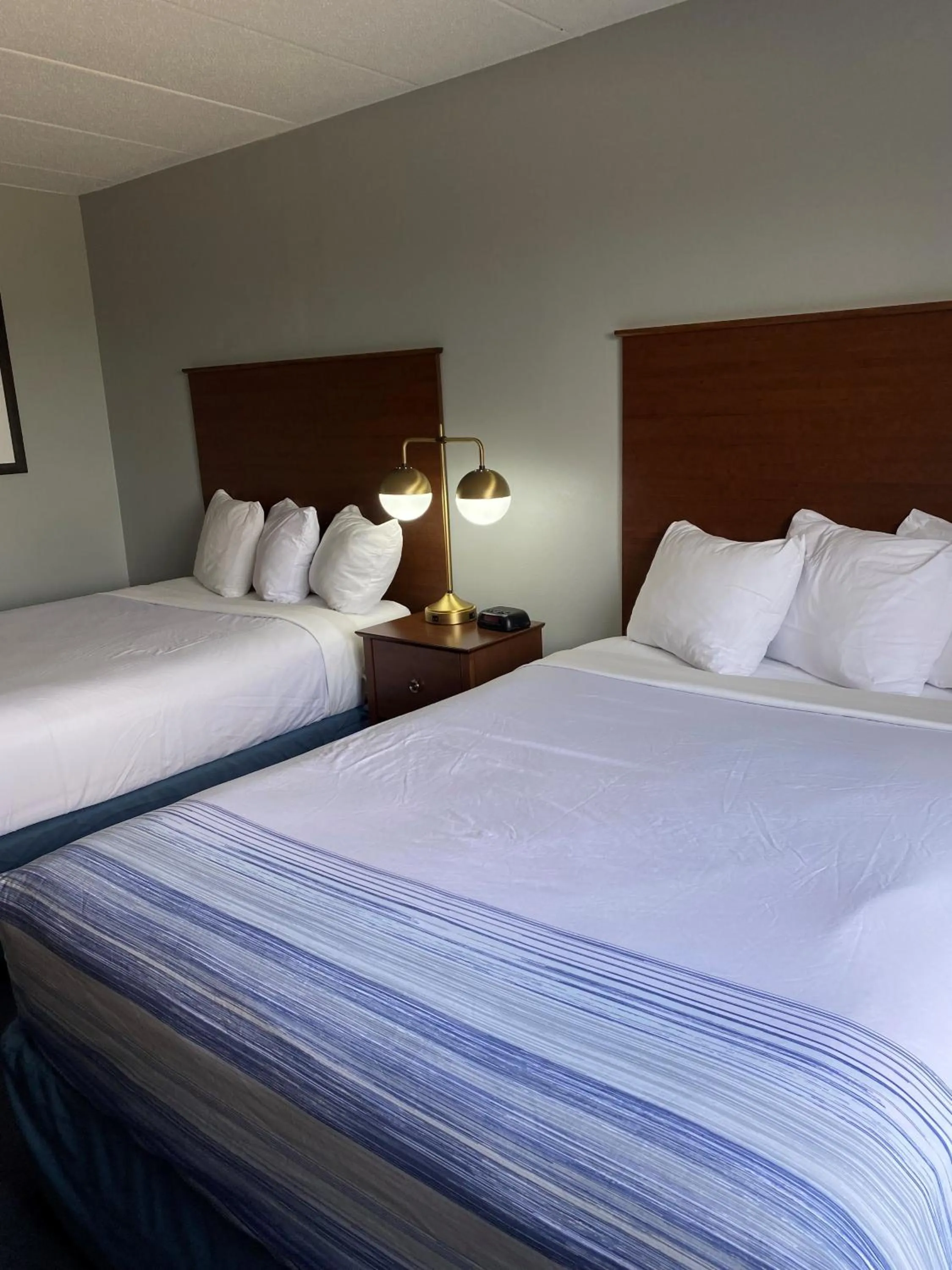 Guests, Bed in AmericInn by Wyndham Webster City