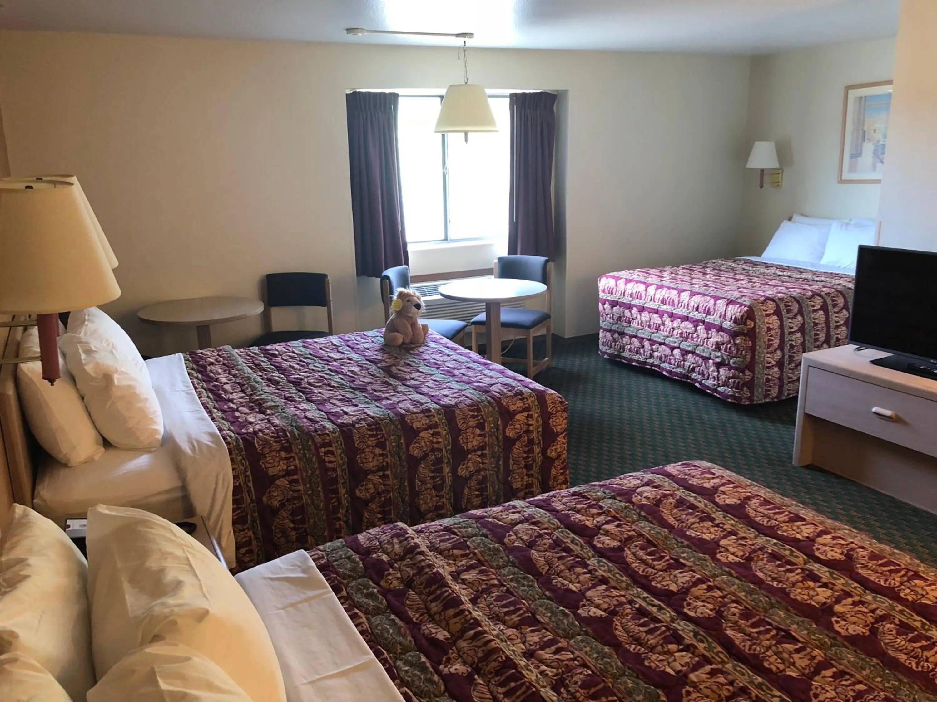 Bedroom, Bed in Kings Inn Cody