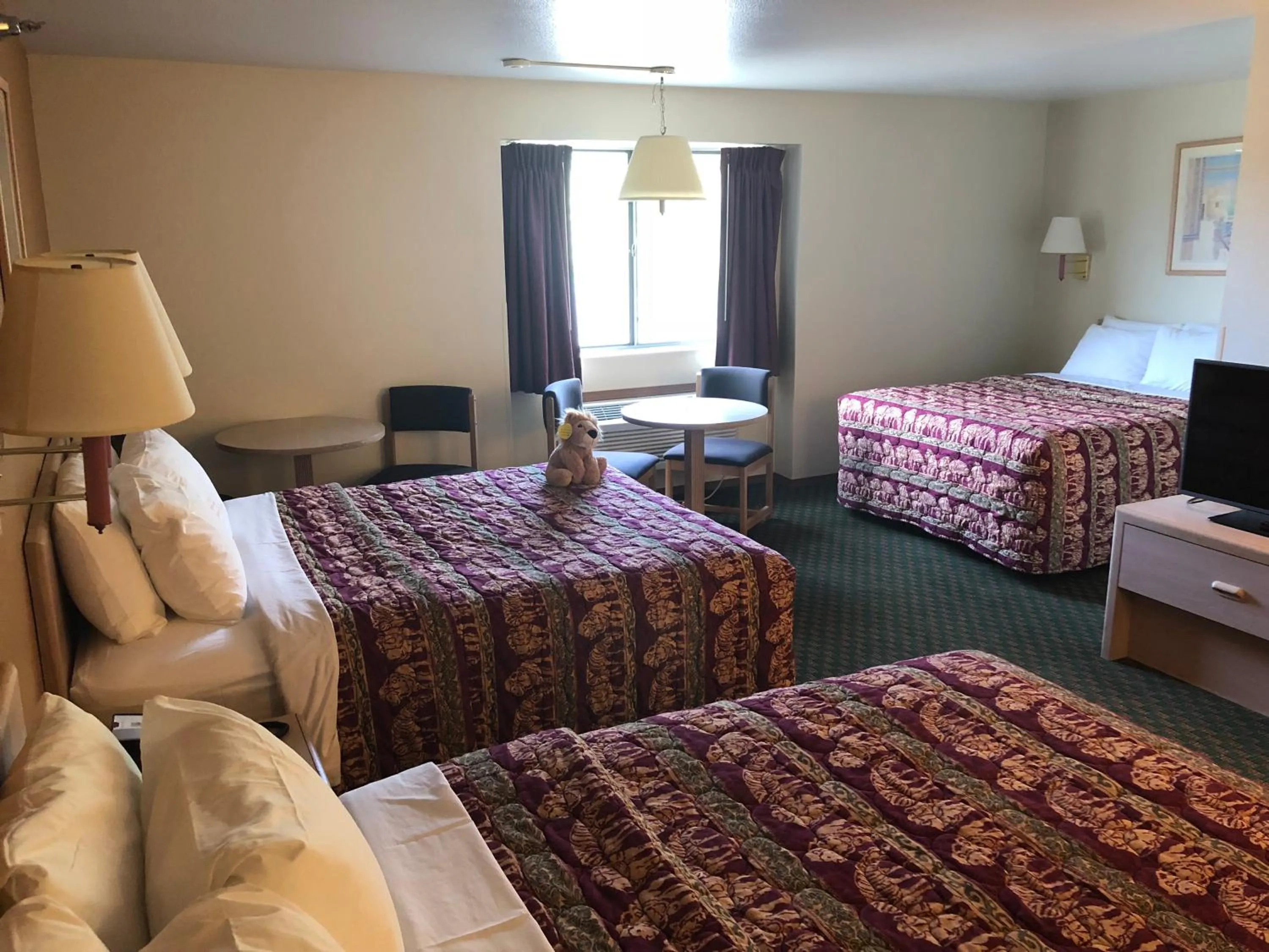 Bedroom, Bed in Kings Inn Cody