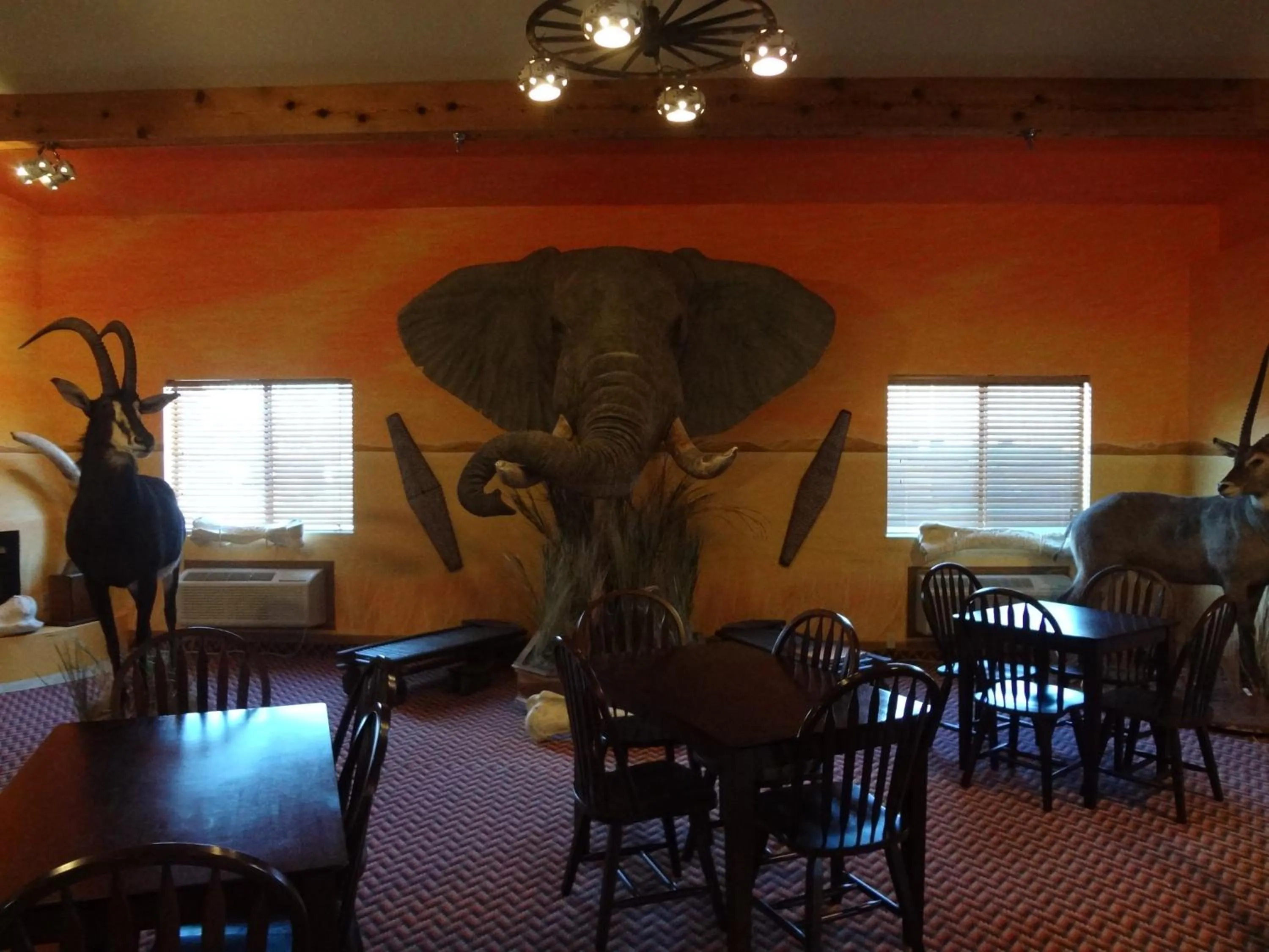 Restaurant/places to eat in Kings Inn Cody