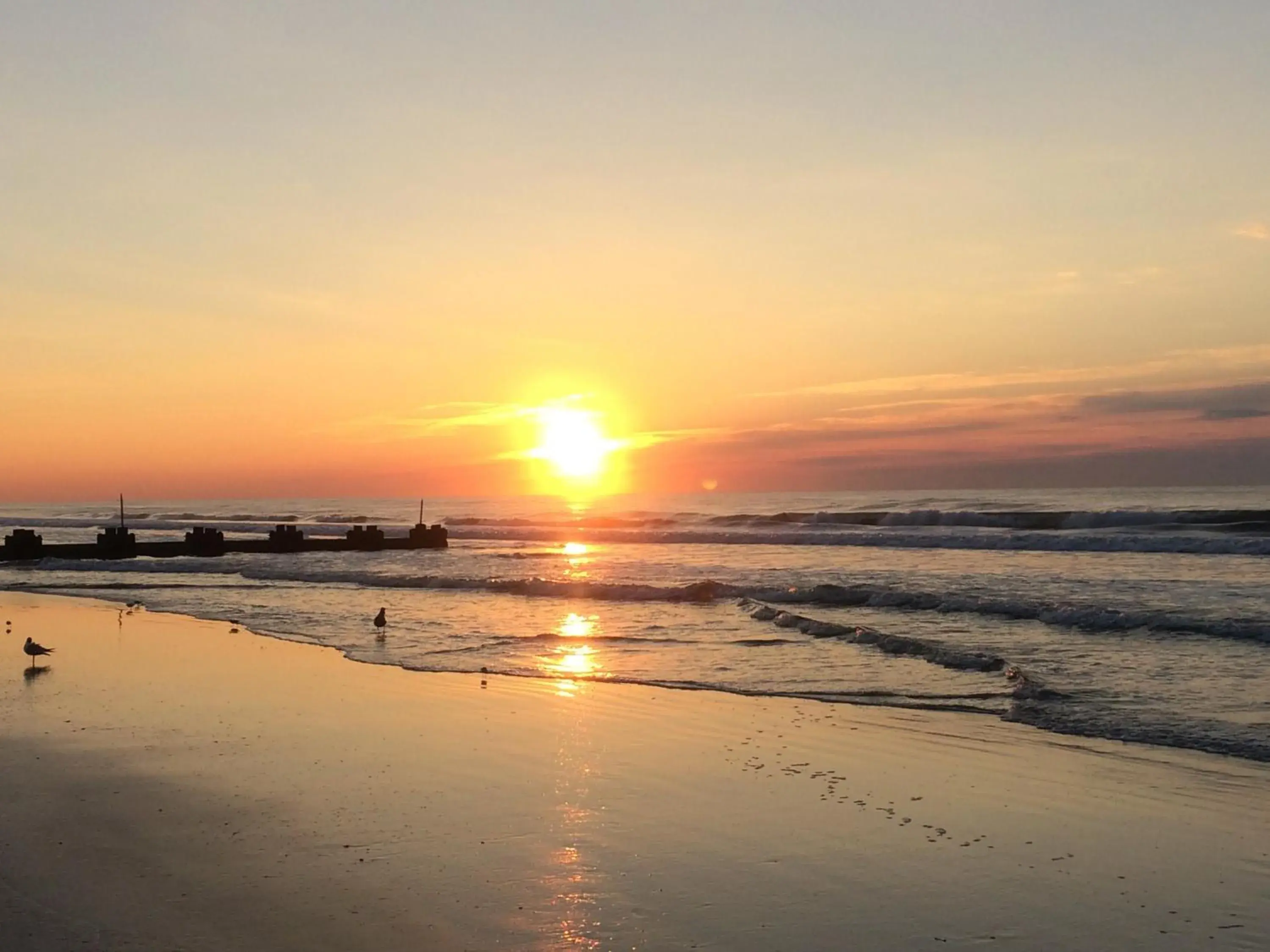 Studio in Acacia Beachfront Resort Studio in Acacia Beachfront Resort