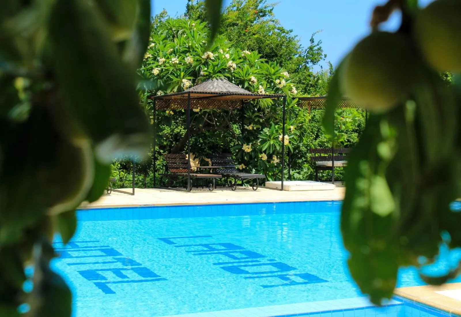 Pool view in Lapida Garden