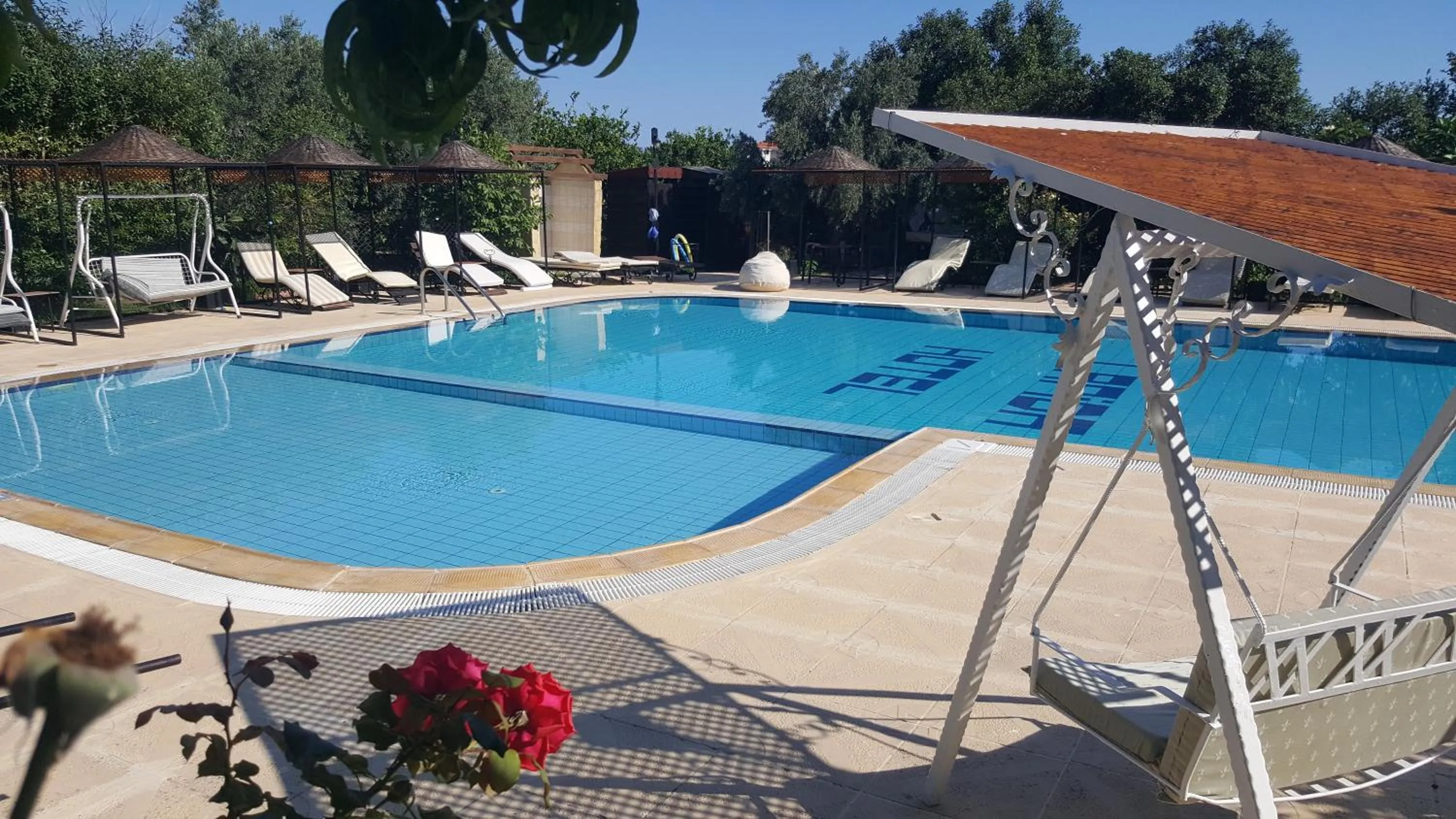 Pool view in Lapida Garden