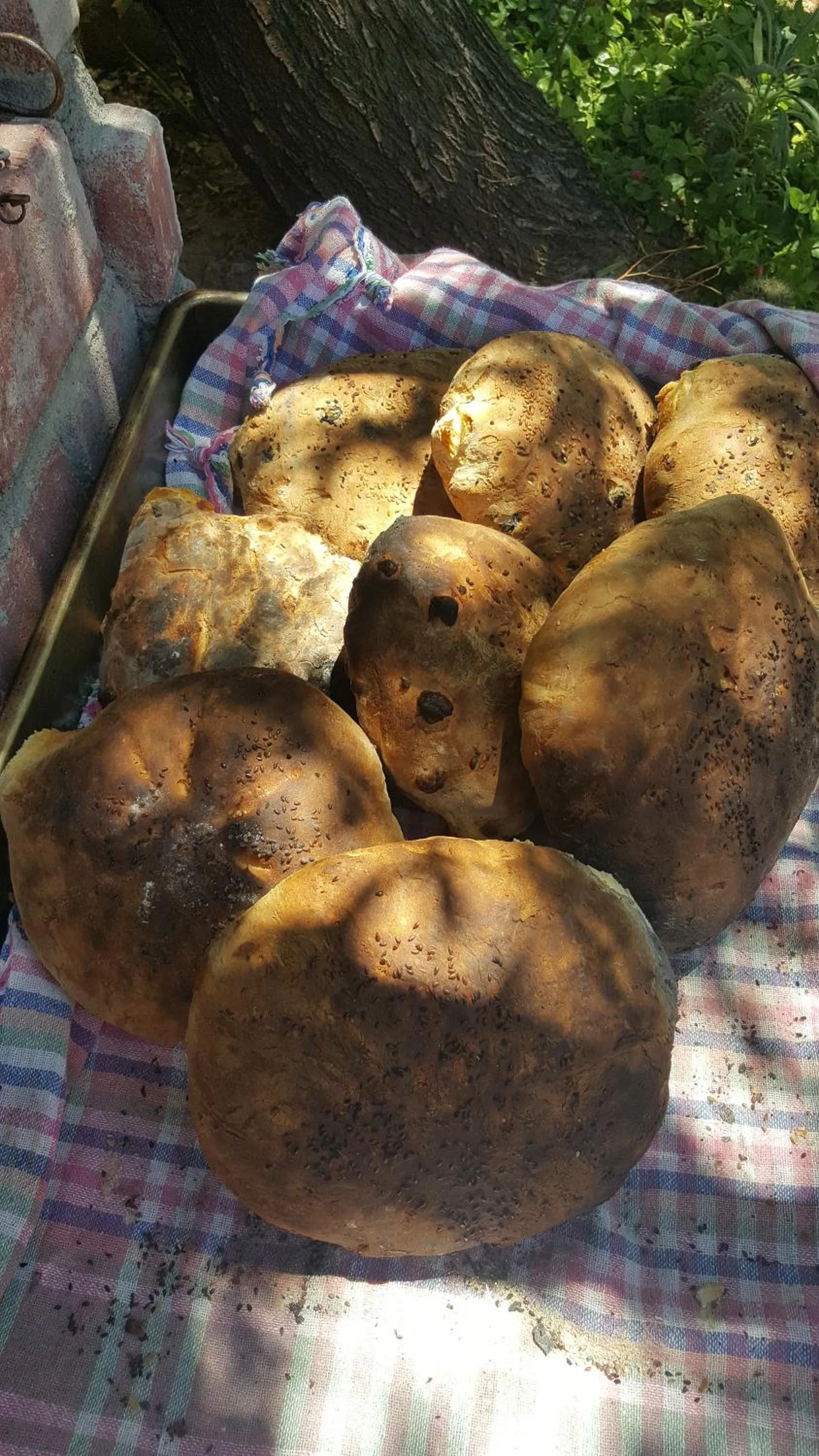 Food and drinks in Lapida Garden