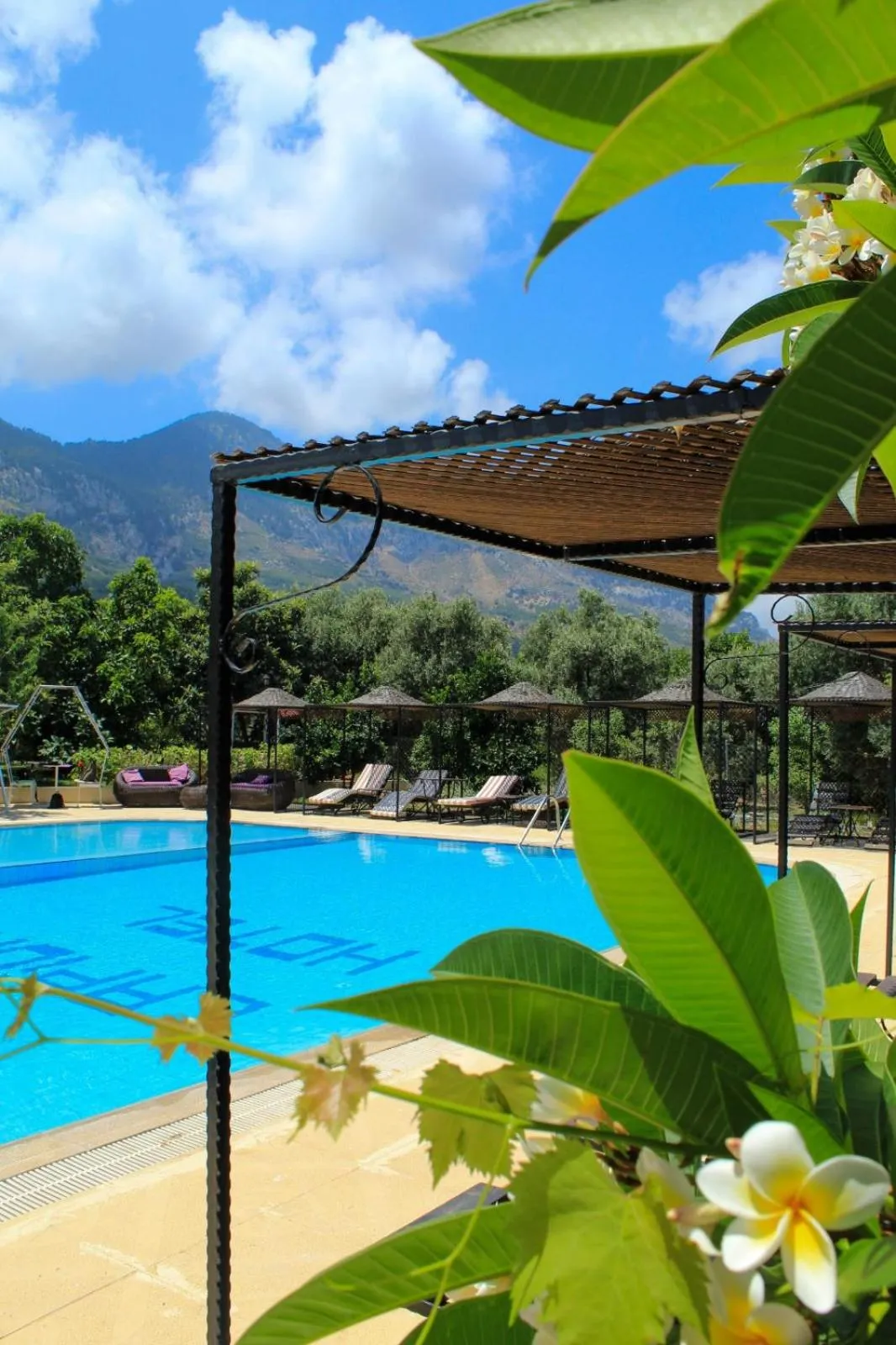 Pool view in Lapida Garden