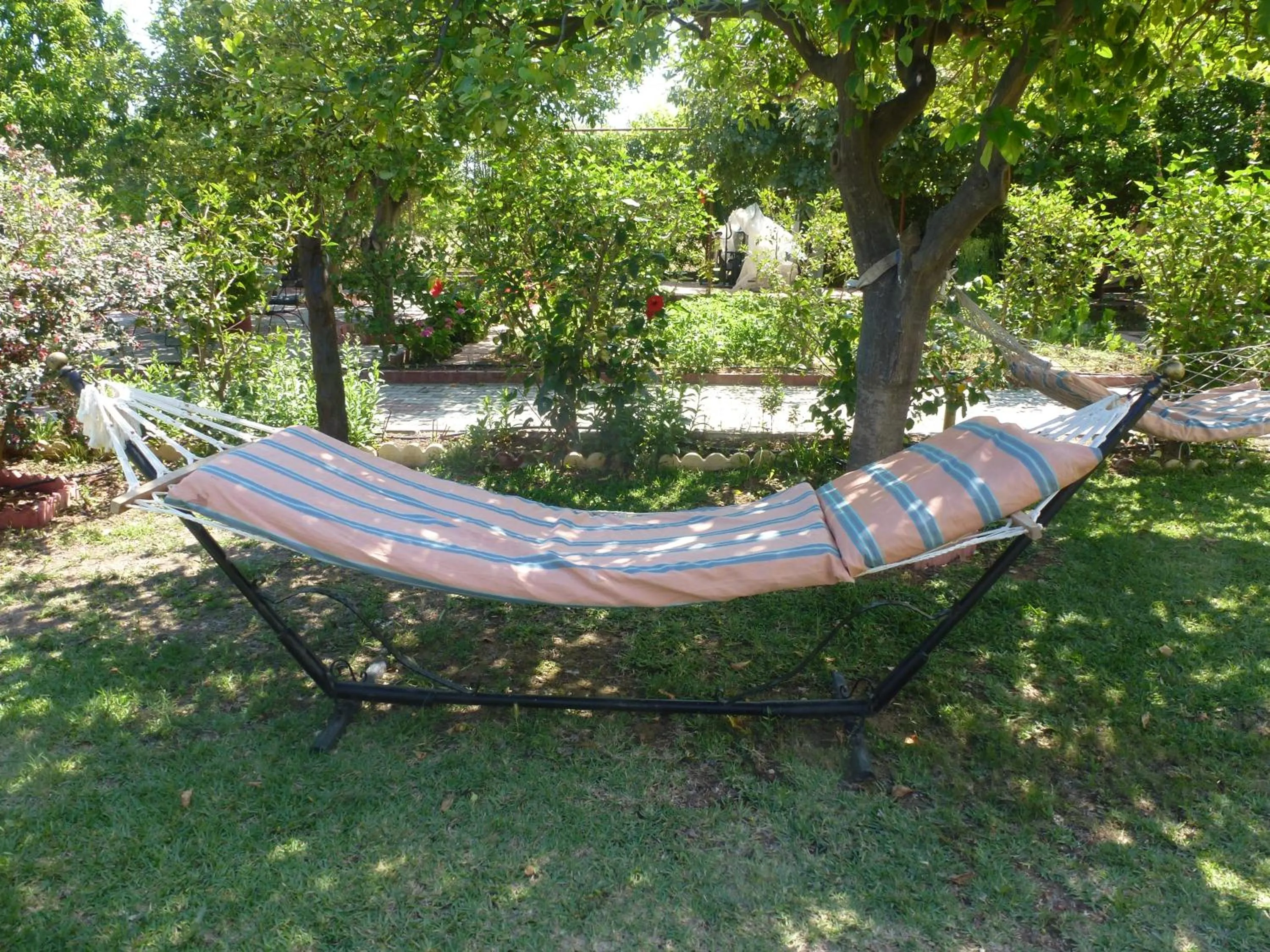 Garden in Lapida Garden