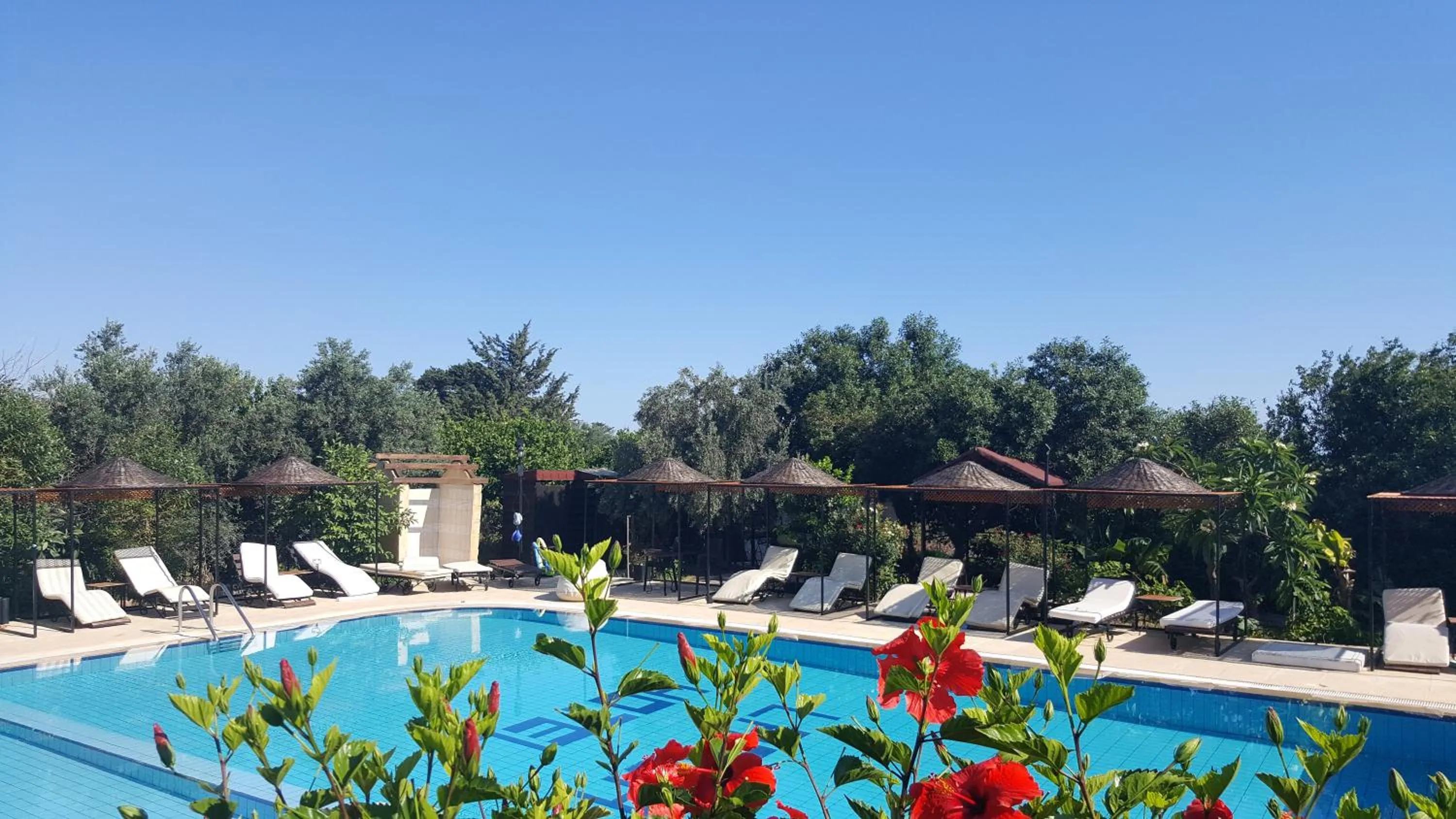 Pool view in Lapida Garden