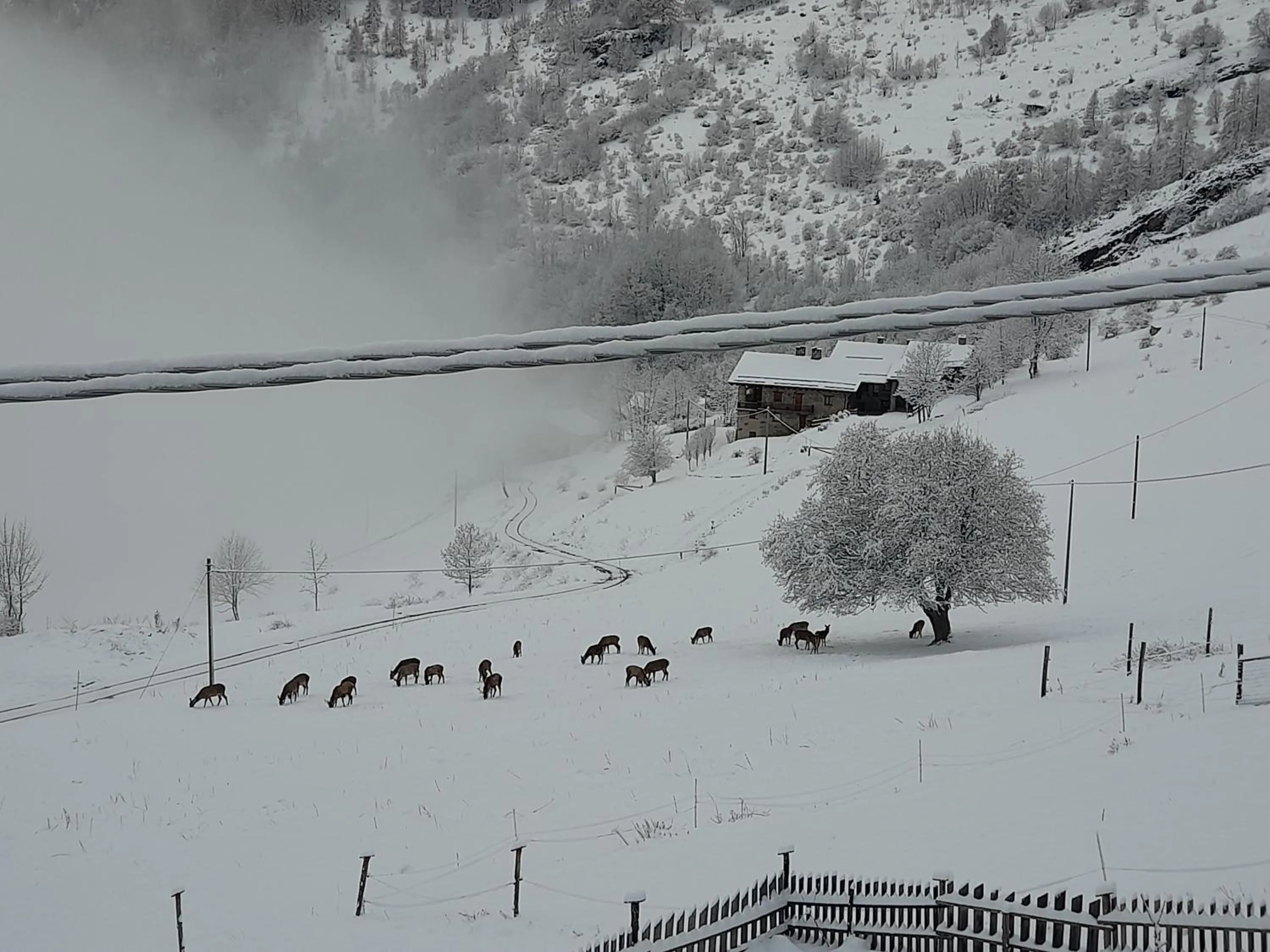 Natural landscape in Agri-b&b Lou Col