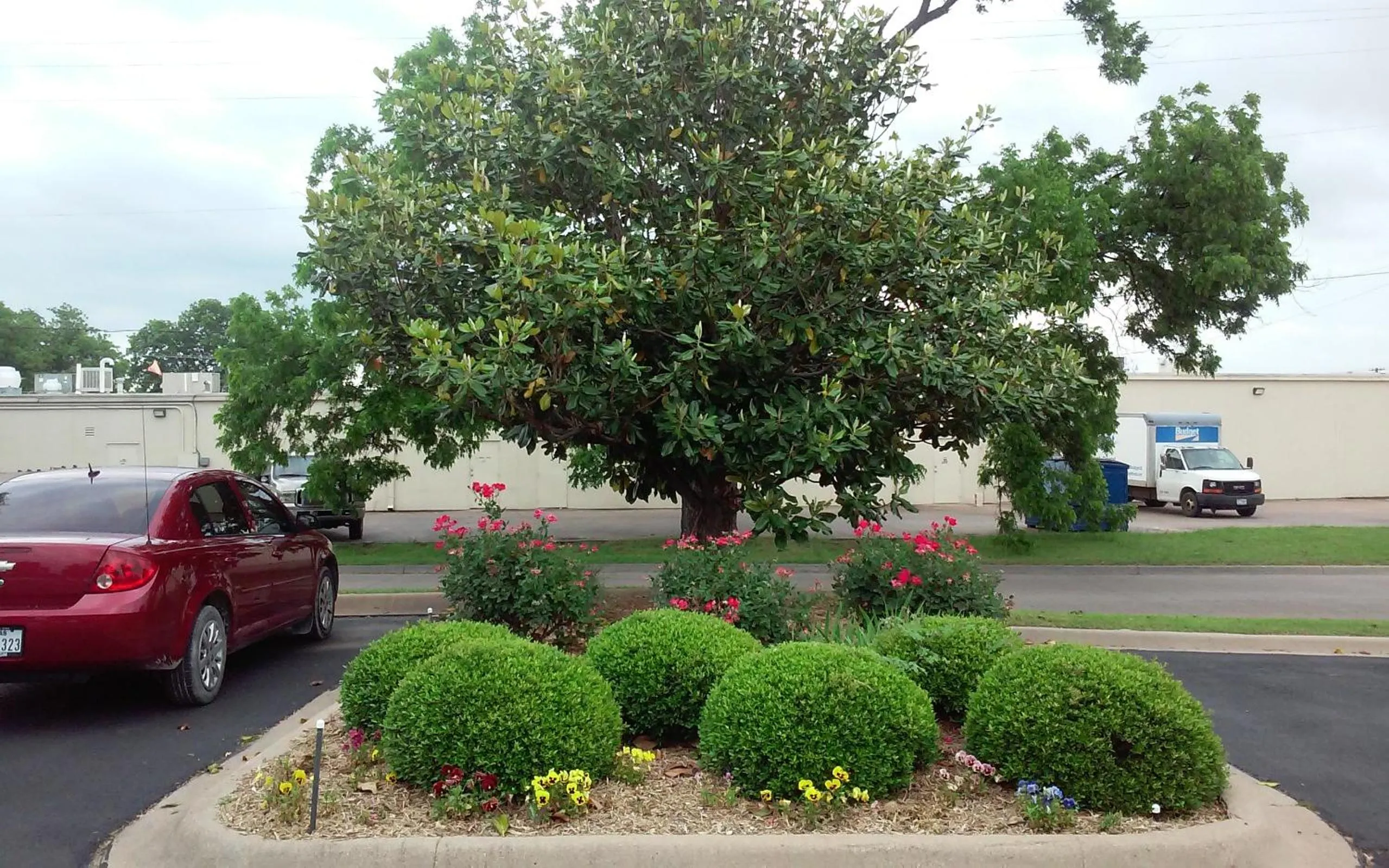 Garden in Lake View Inn