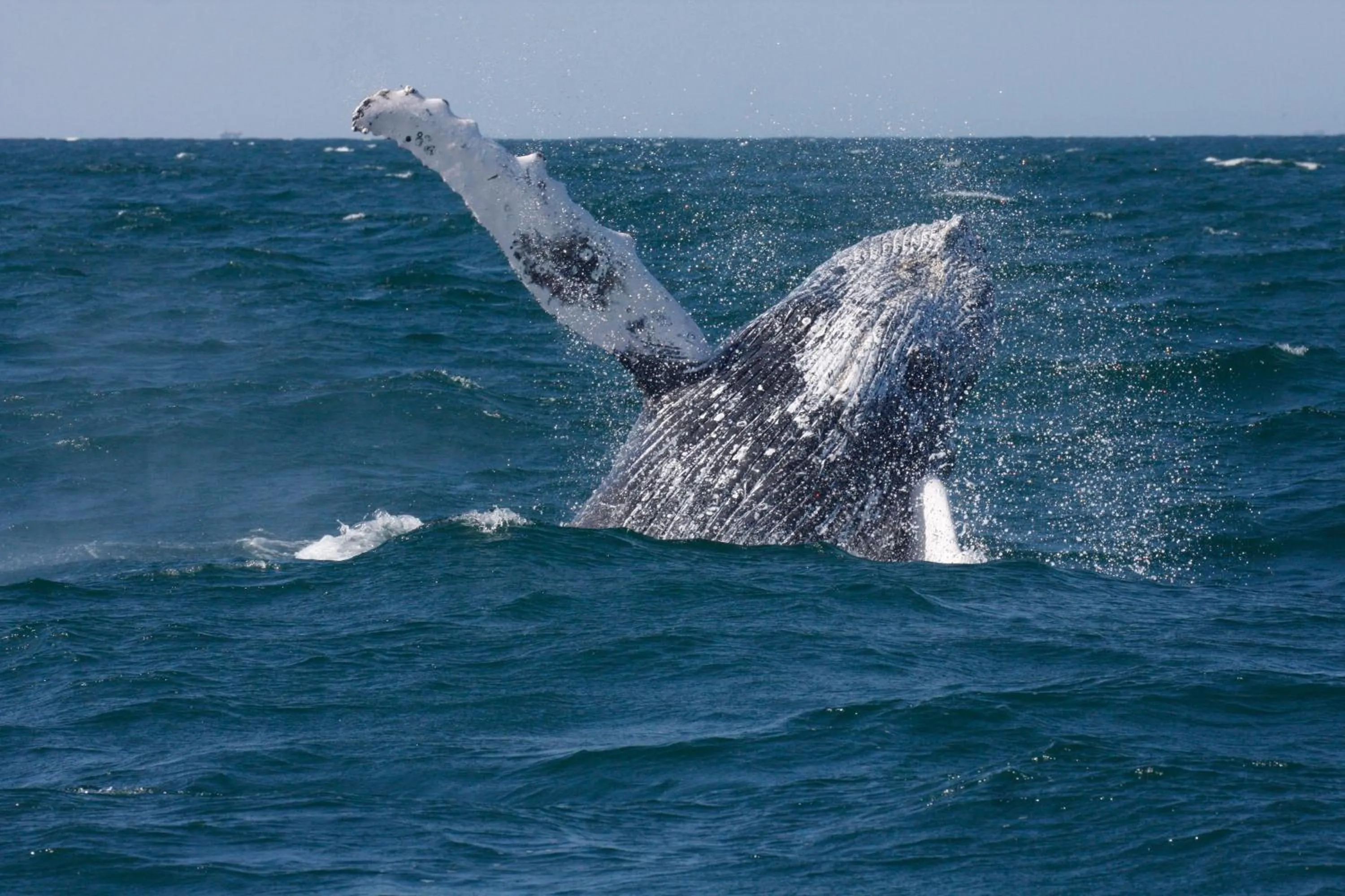 Natural landscape in Norte Suites Boutique