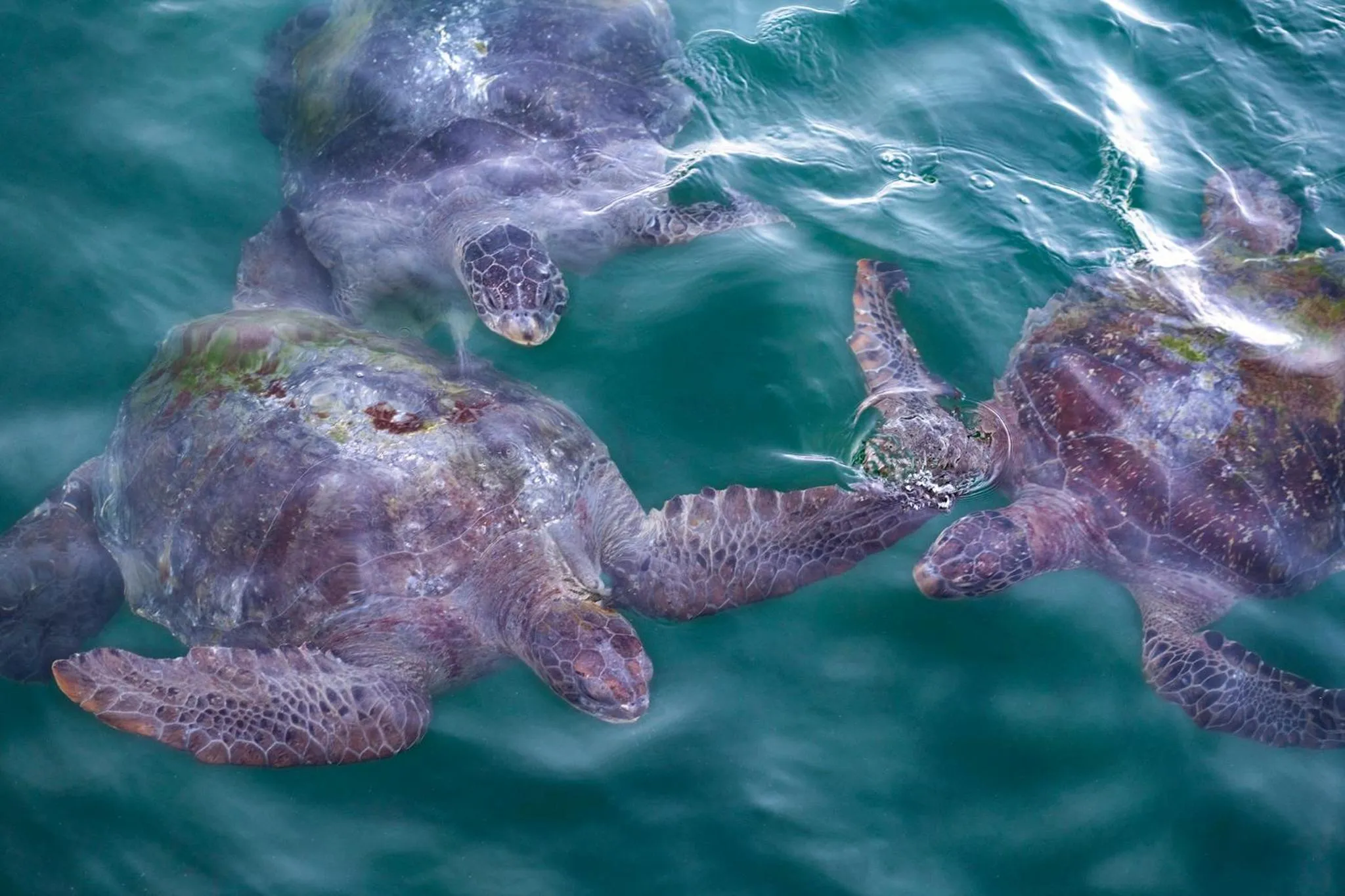 Natural landscape in Norte Suites Boutique