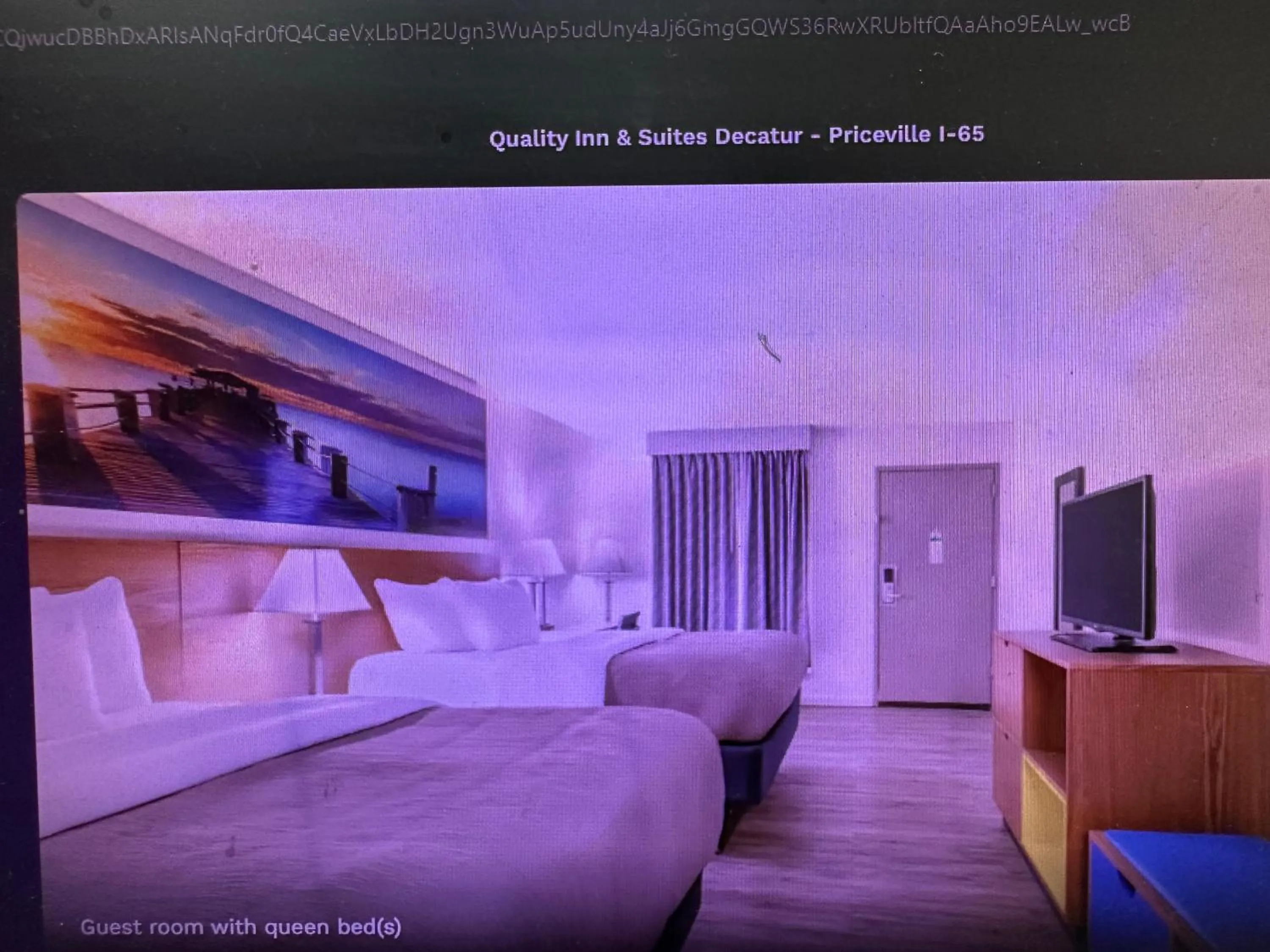 Bed in Quality Inn & Suites Decatur Priceville I-65