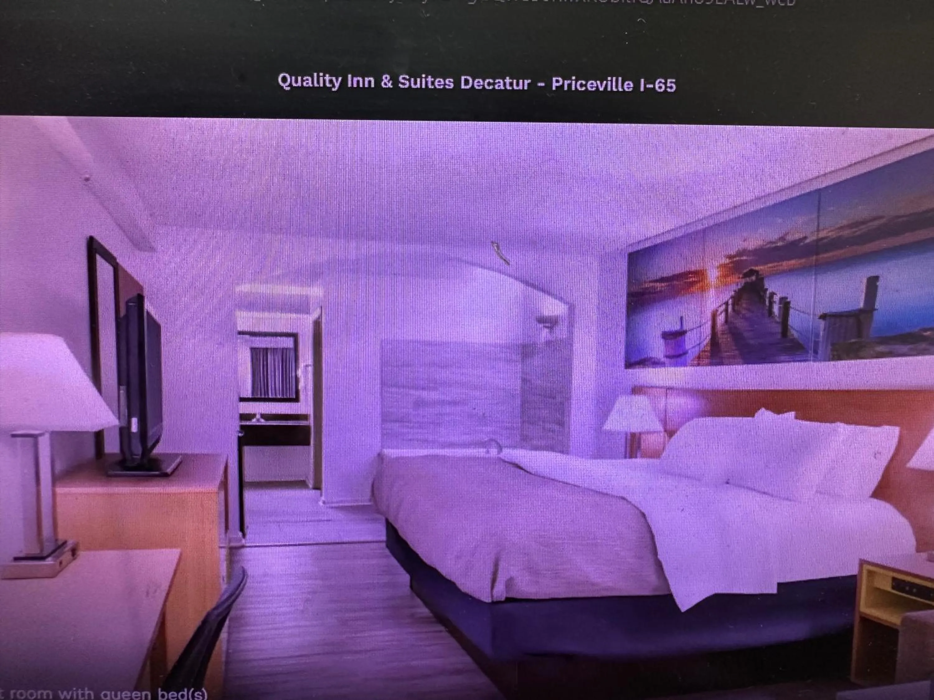 Bed in Quality Inn & Suites Decatur Priceville I-65