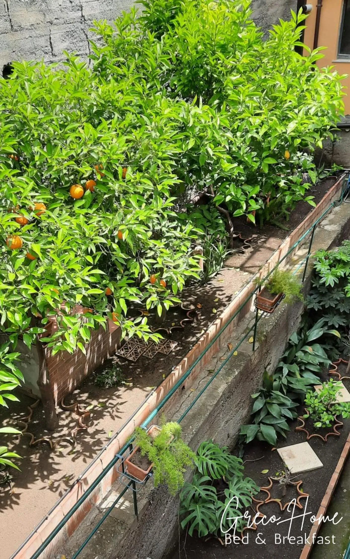 Property building in B&B Greco Home