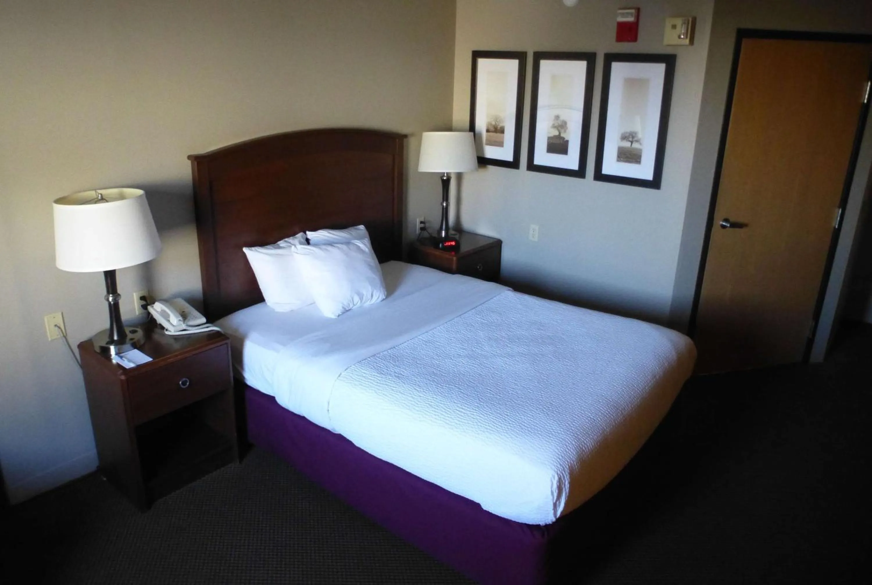 Photo of the whole room, Bed in AmericInn by Wyndham Mitchell