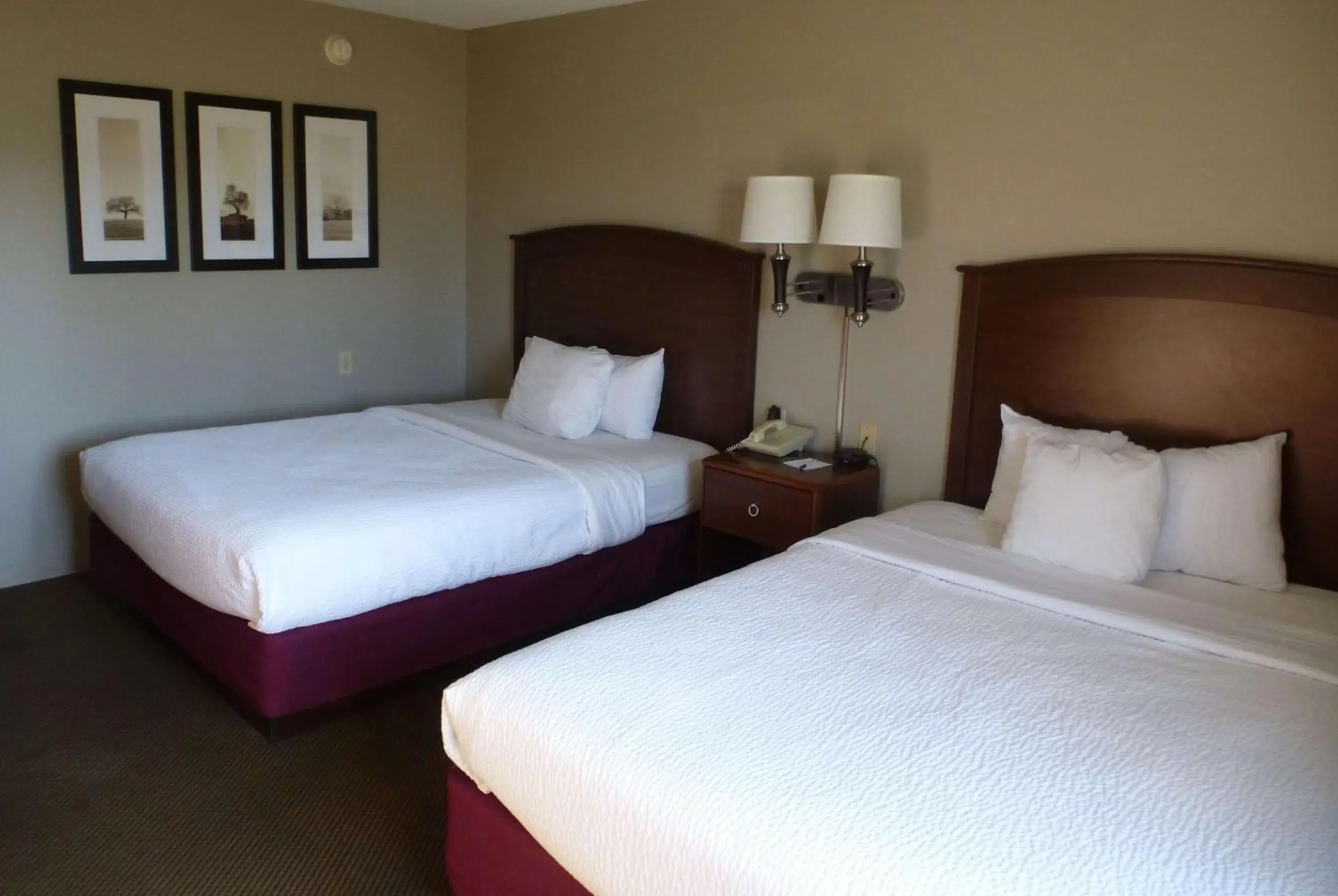 Queen Room with Two Queen Beds - Non-Smoking in AmericInn by Wyndham Mitchell Queen Room with Two Queen Beds - Non-Smoking in AmericInn by Wyndham Mitchell