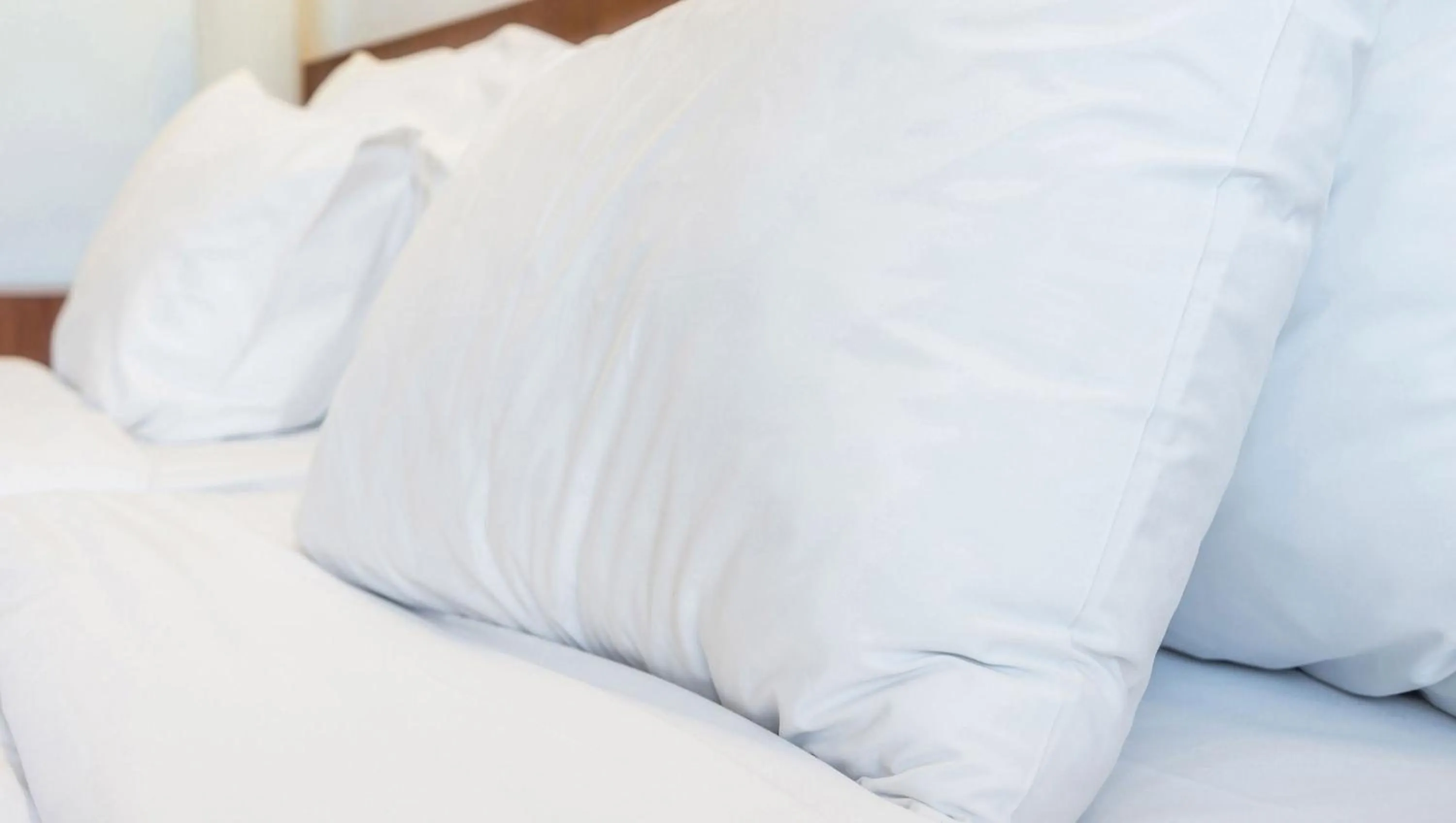 Bed in Georgetown Lodge