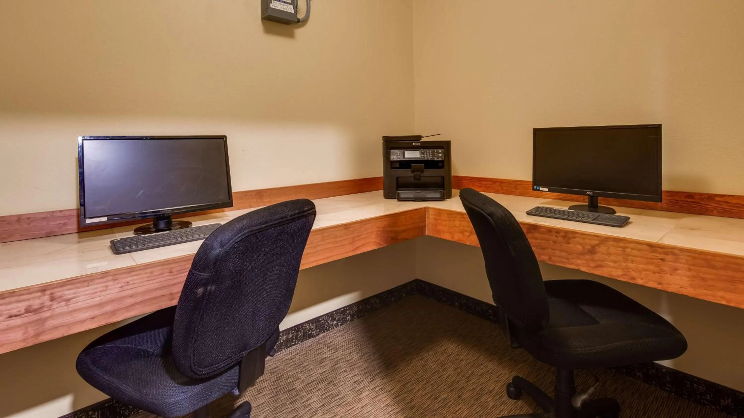 Business facilities in Best Western Plus Grapevine Inn