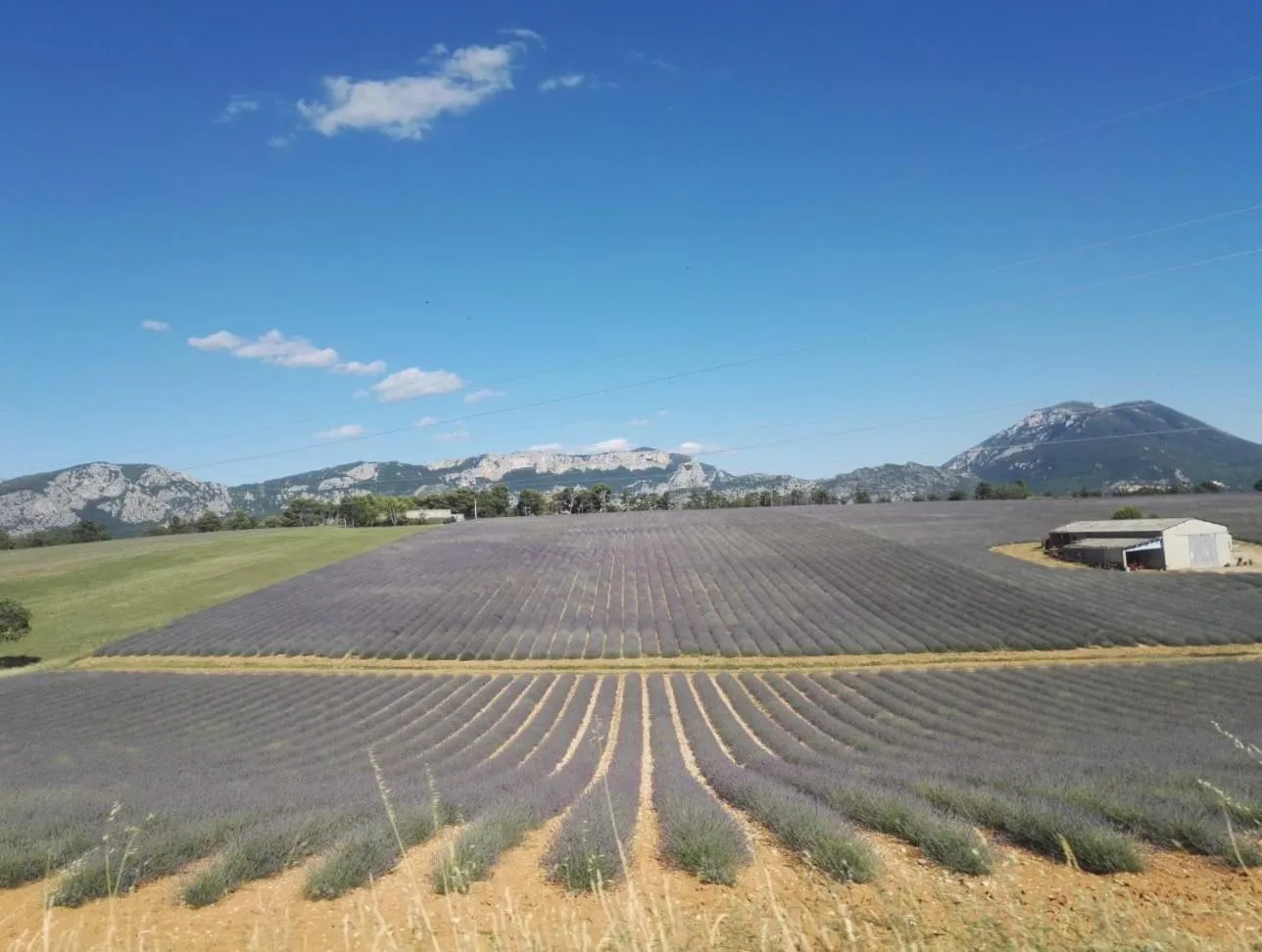 Off site in Le Clos en Provence