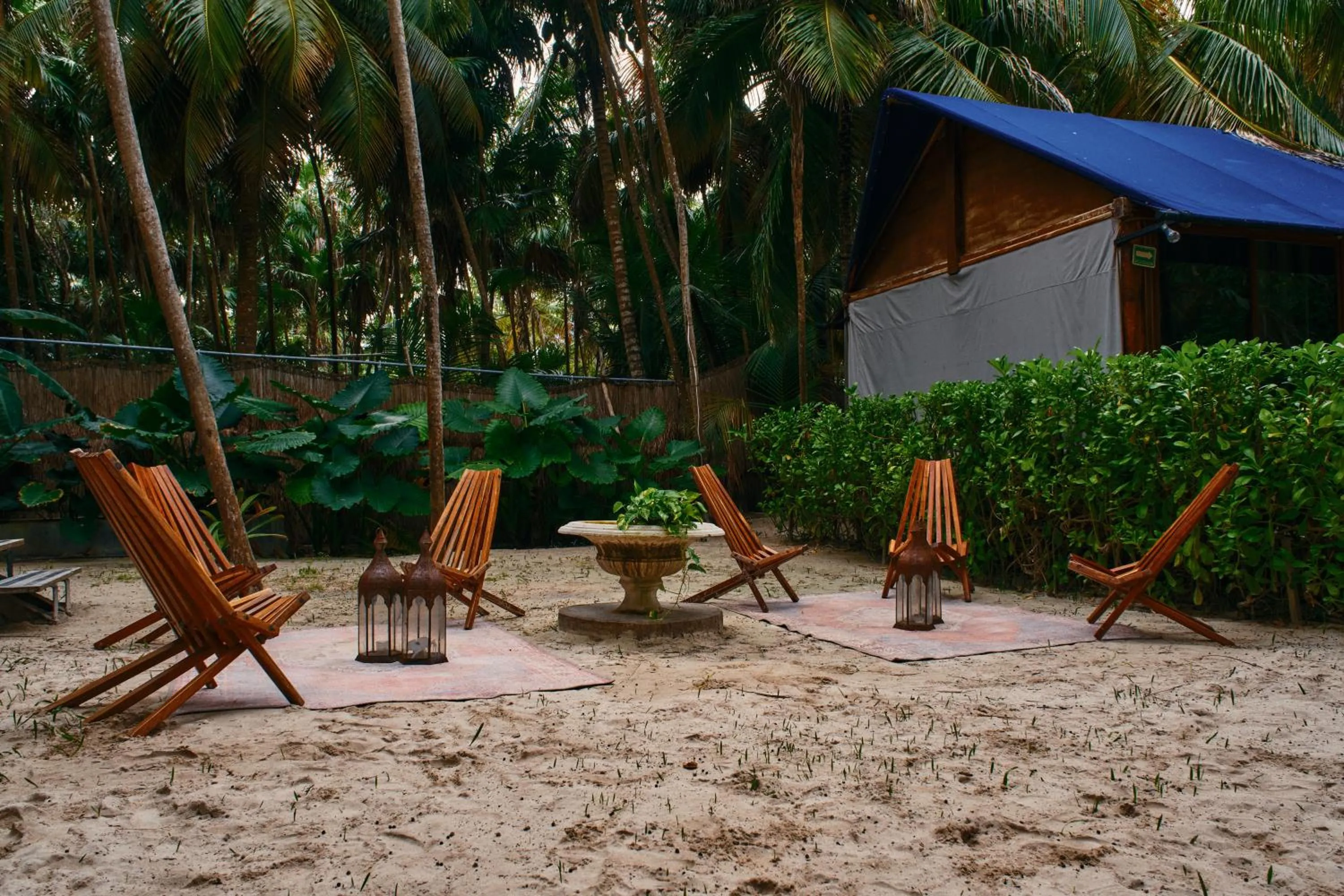 Garden in Libelula Tulum Beachfront Hotel