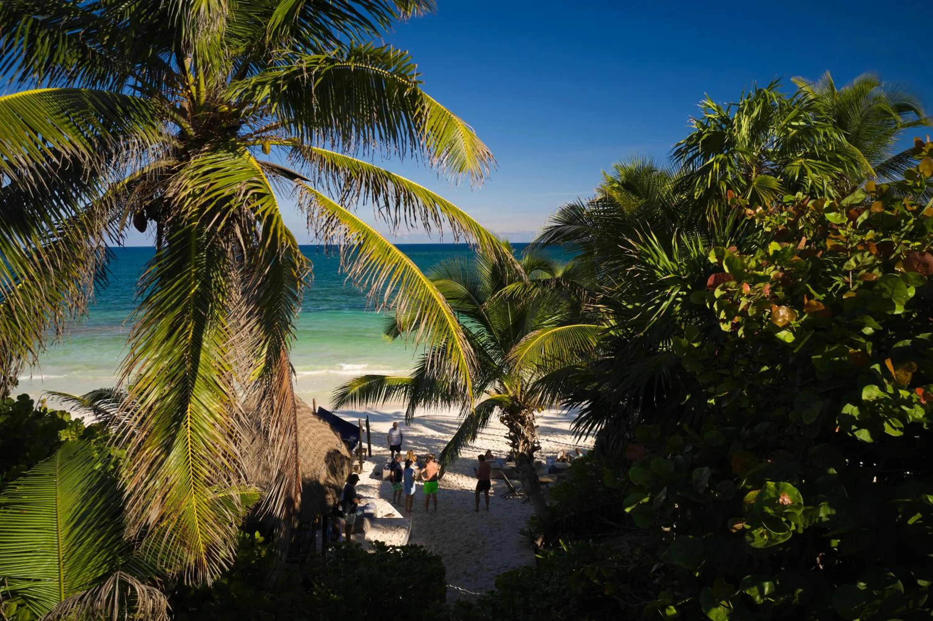 View (from property/room) in Libelula Tulum Beachfront Hotel