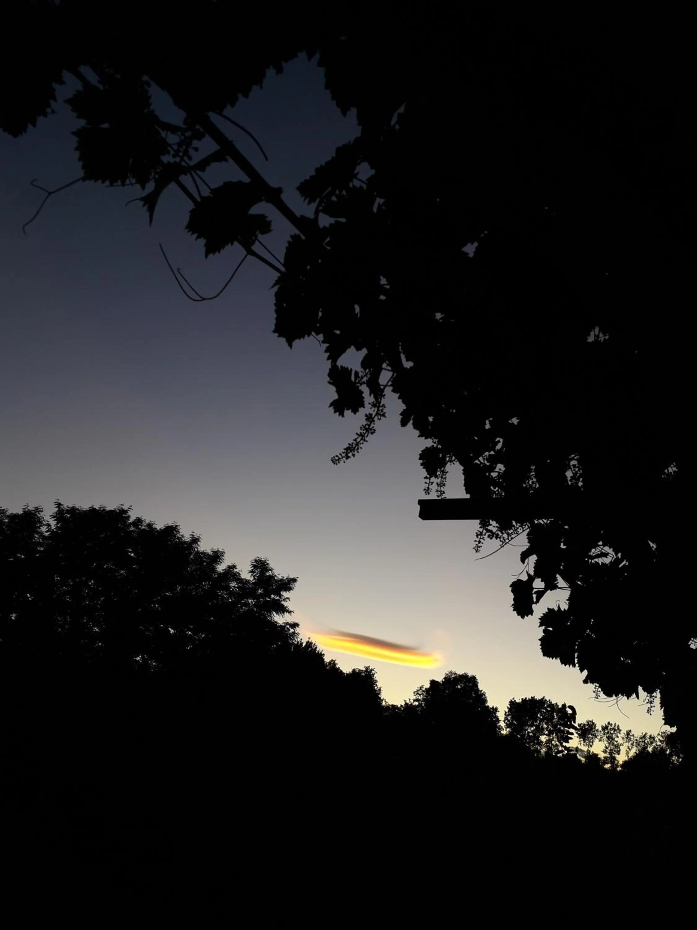 Natural landscape in B&B La Riundela