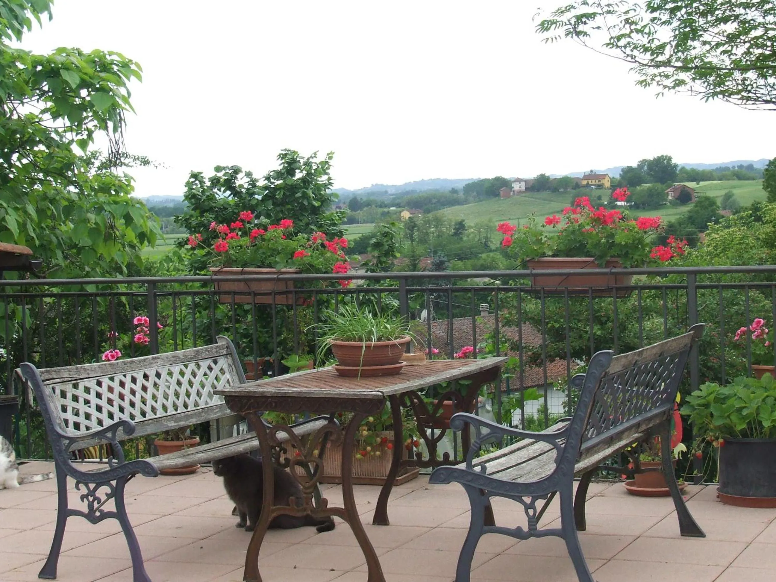 Balcony/Terrace in B&B La Riundela