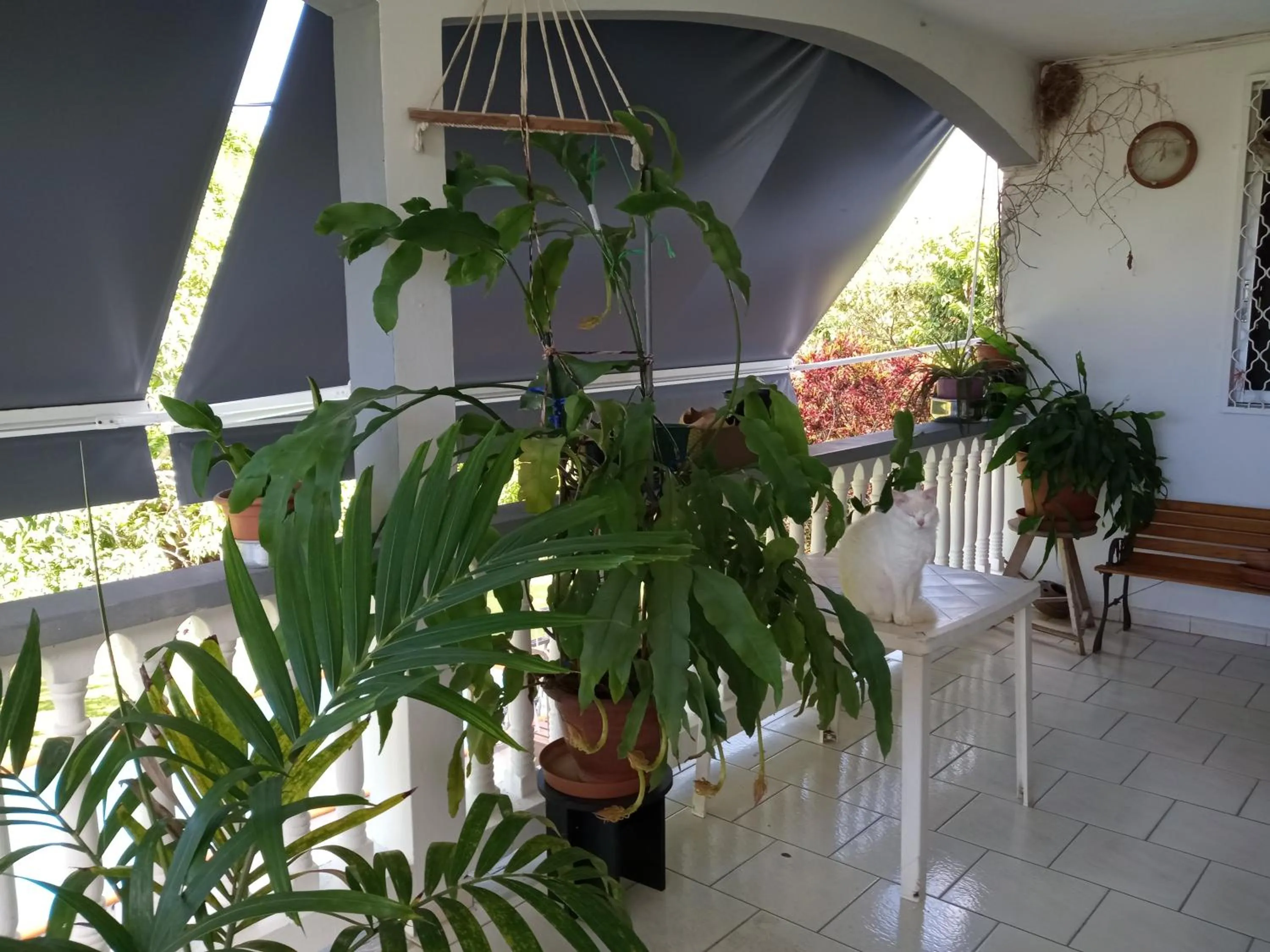 Chez Christian et Lydia