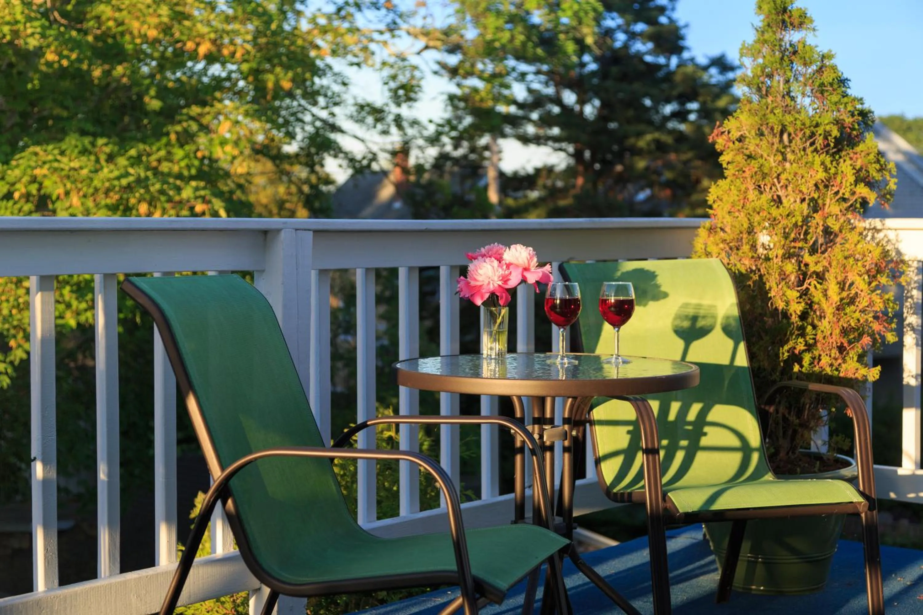 Balcony/Terrace in Beech Tree Inn and Cottage