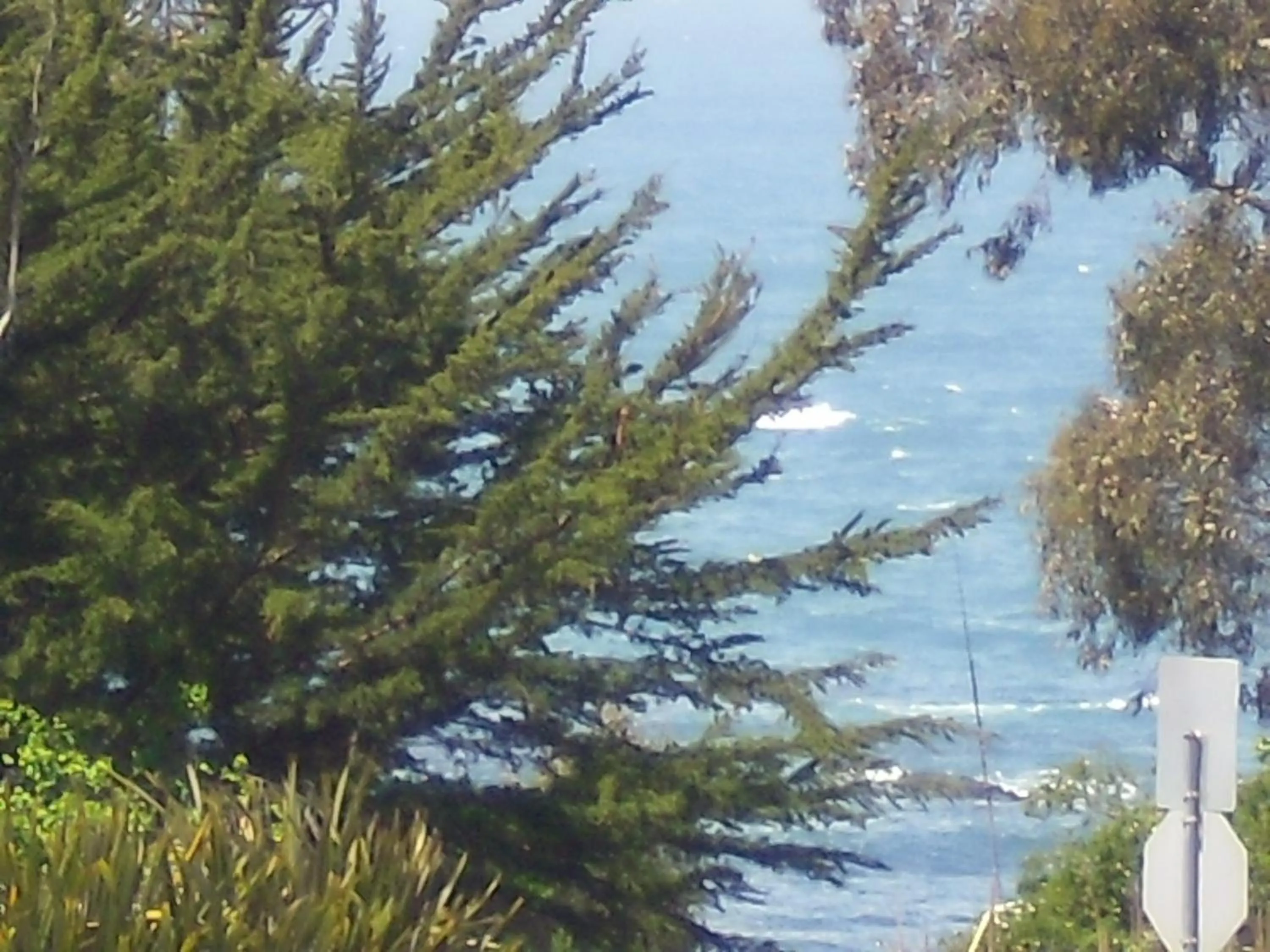 View (from property/room) in Super 8 by Wyndham Fort Bragg