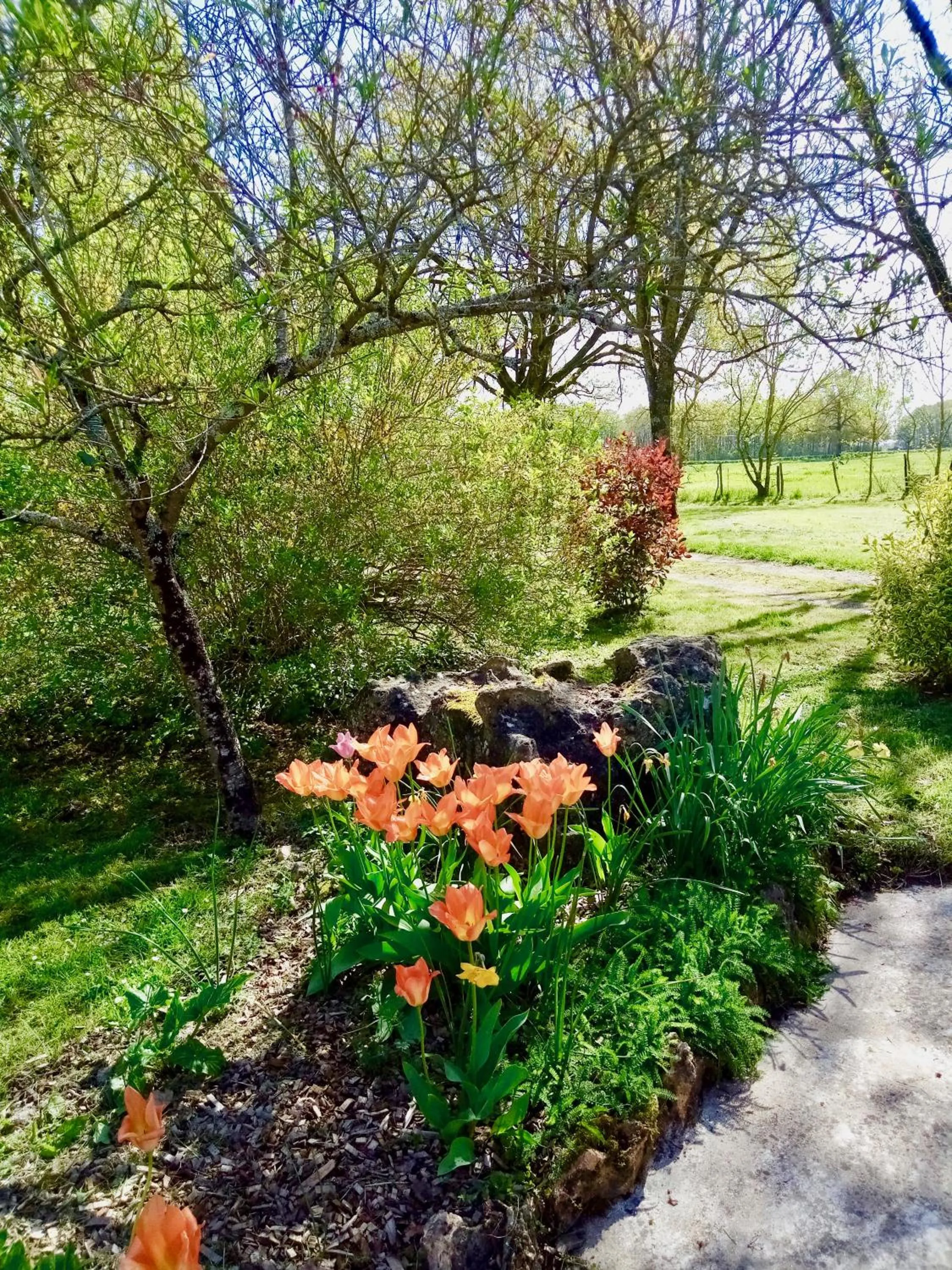Other in Domaine de l'Augeonnière