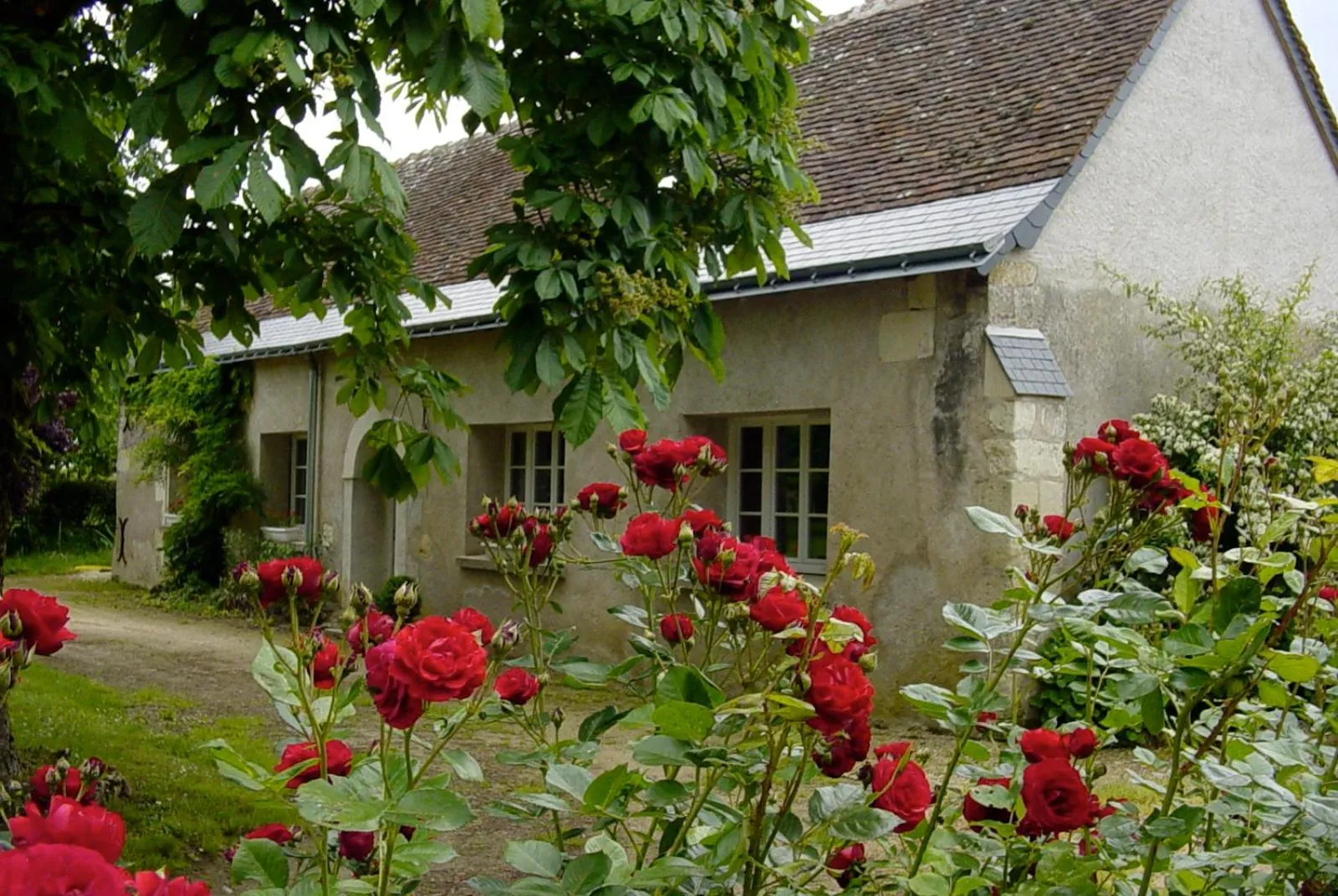 Property building in Domaine de l'Augeonnière