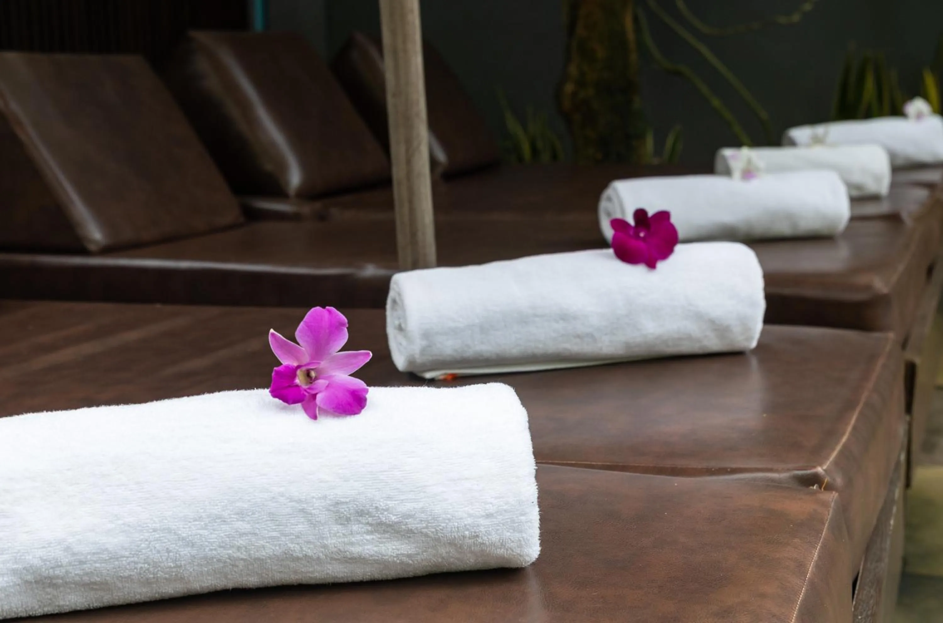 sunbed in Golden Vishnu Villa