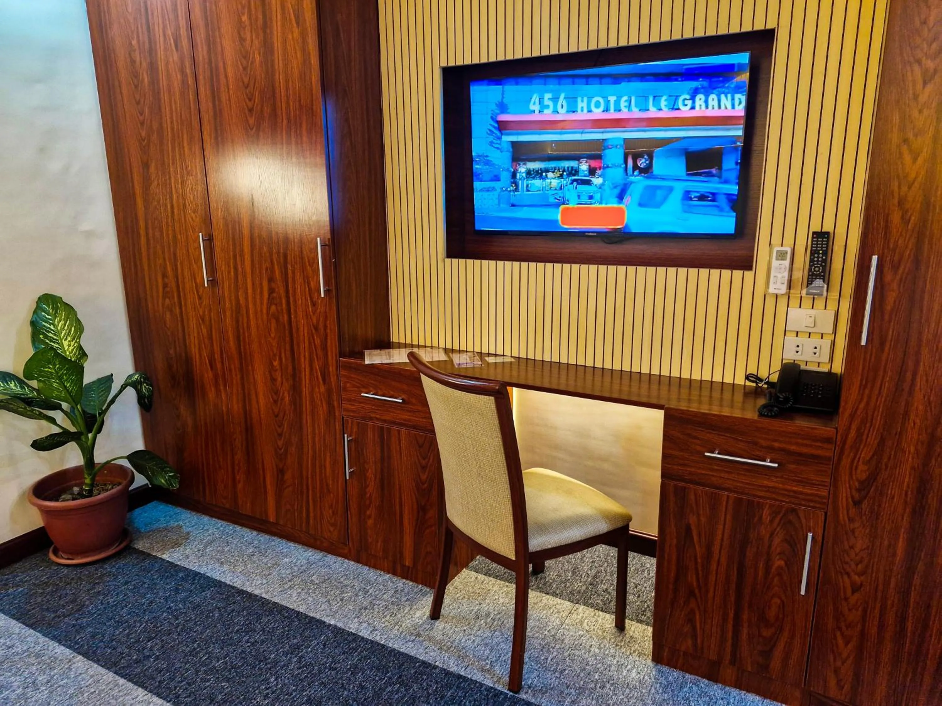 TV and multimedia in 456 Hotel