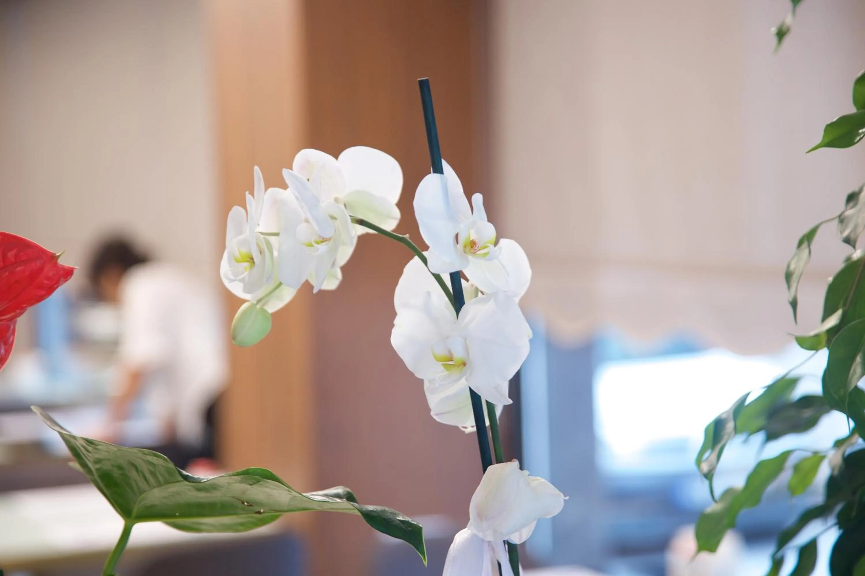 Decorative detail in The Tango Hotel Taksim