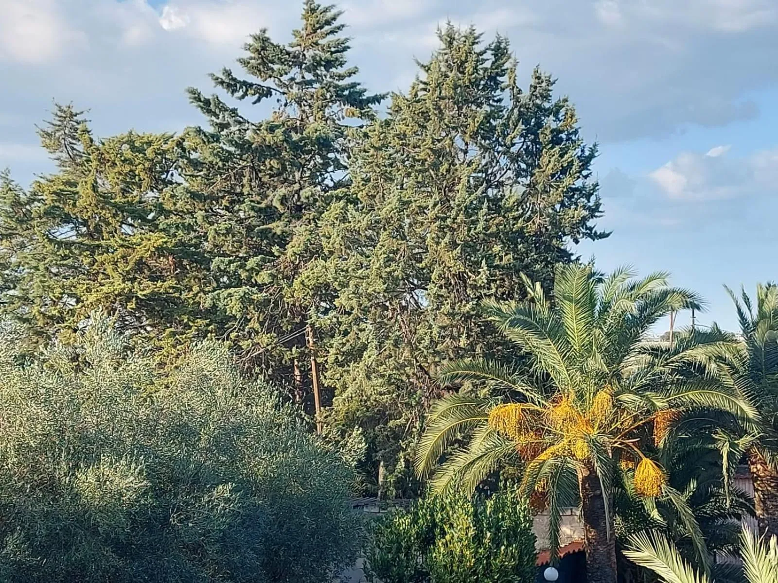 Superior Apartment in LA VILLA DEL CONTE