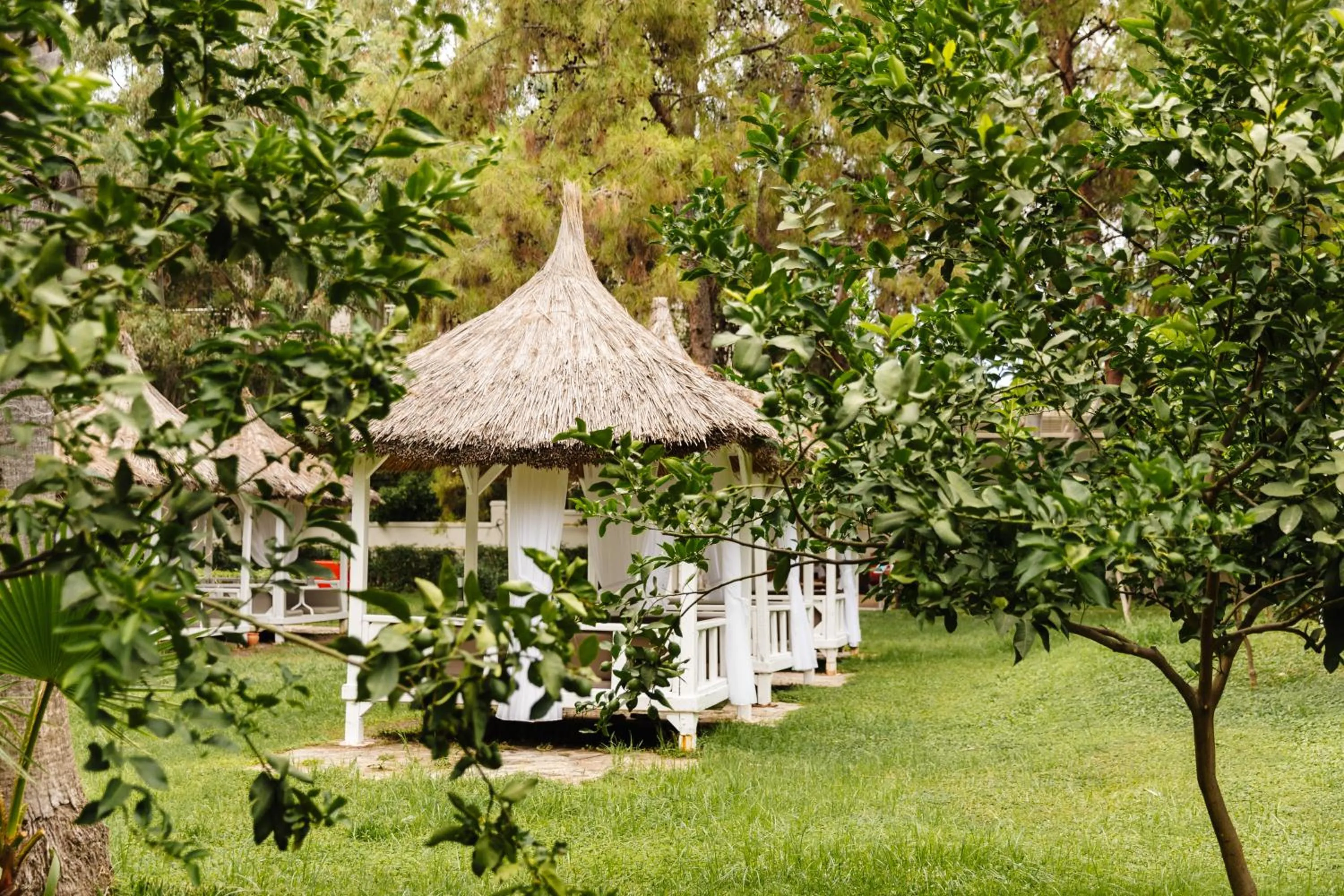 Garden in Fun & Sun Club Saphire